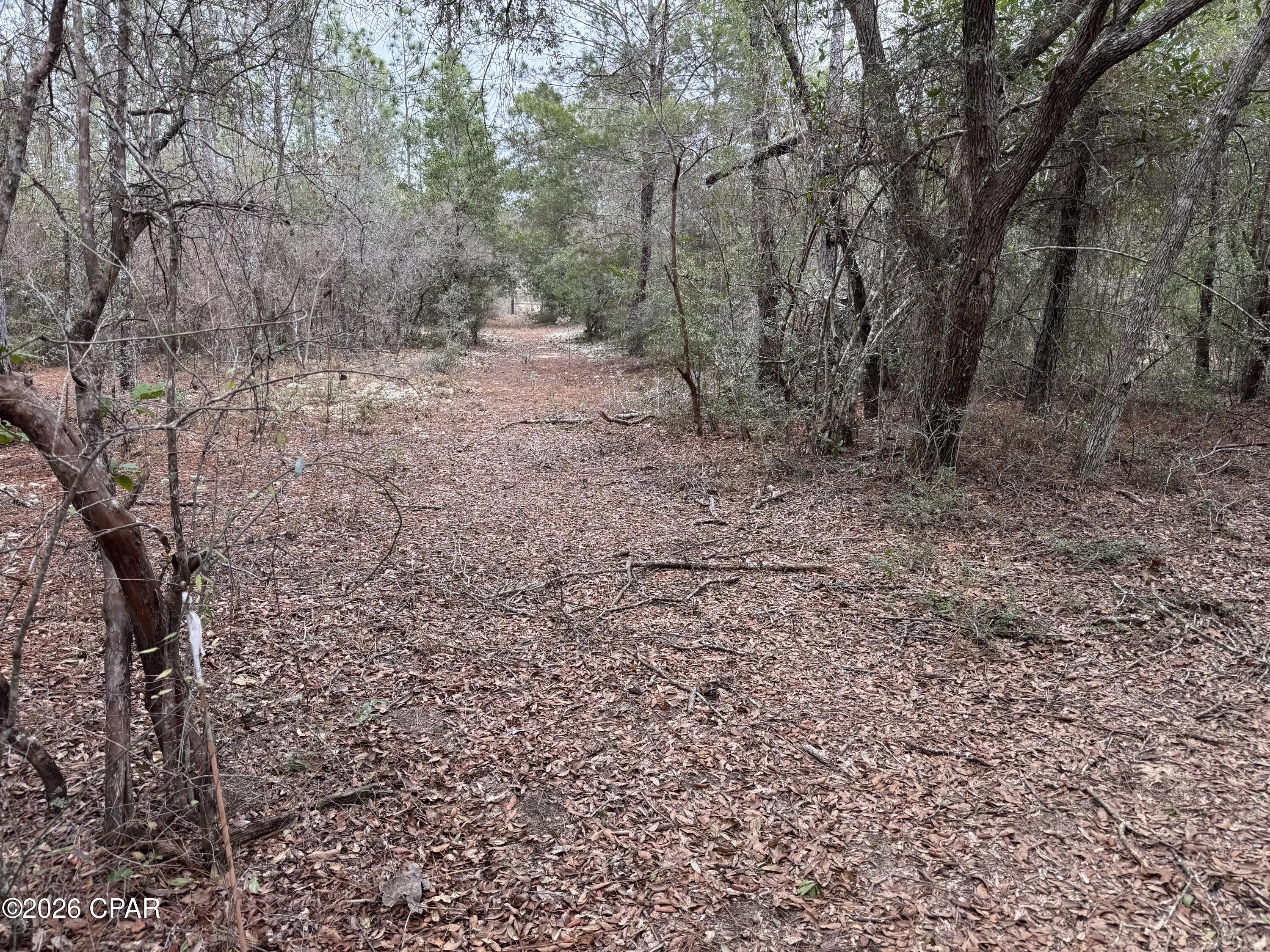 Image 44 For 3100 Bonnett Pond Road