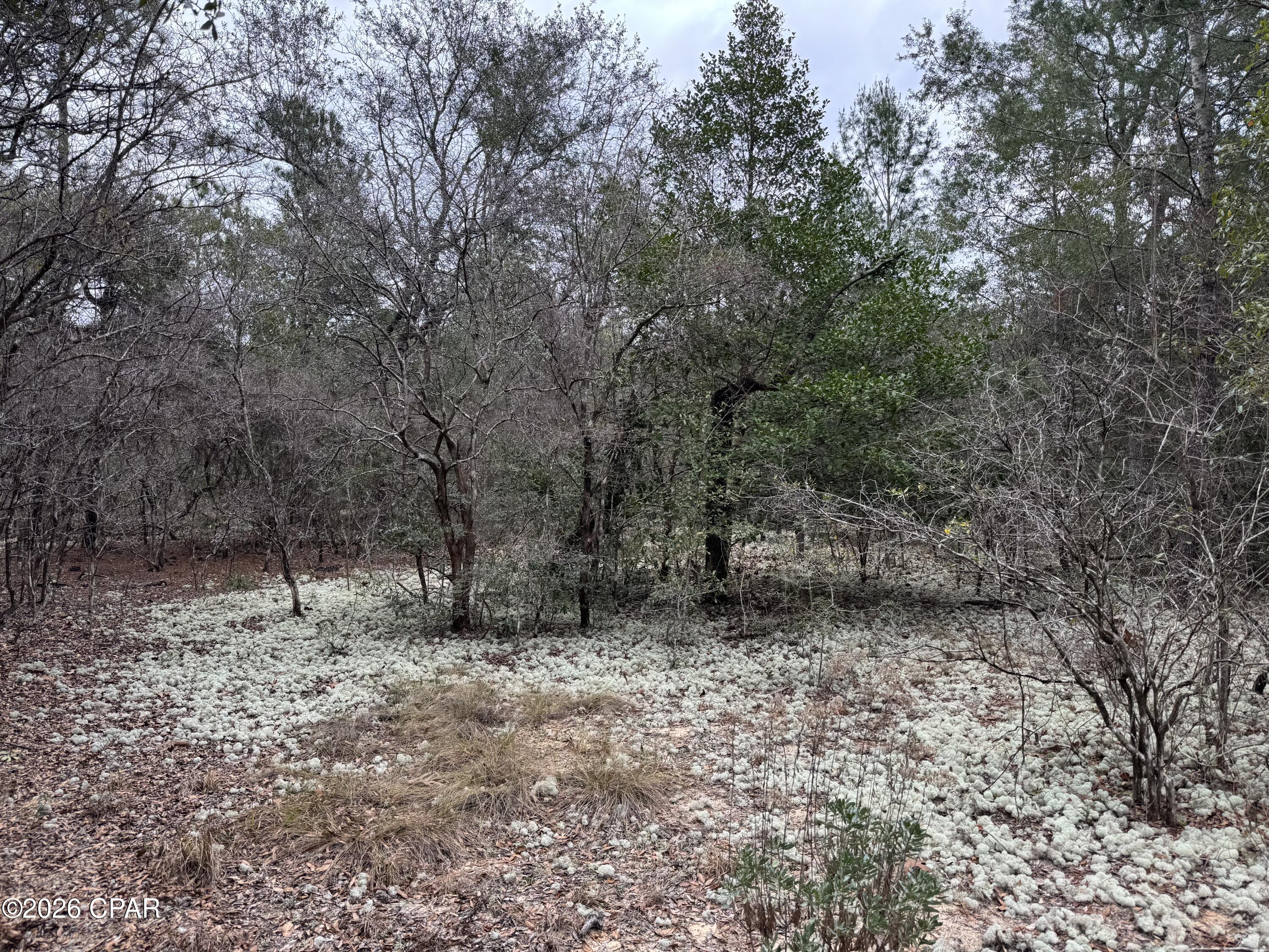 Image 45 For 3100 Bonnett Pond Road