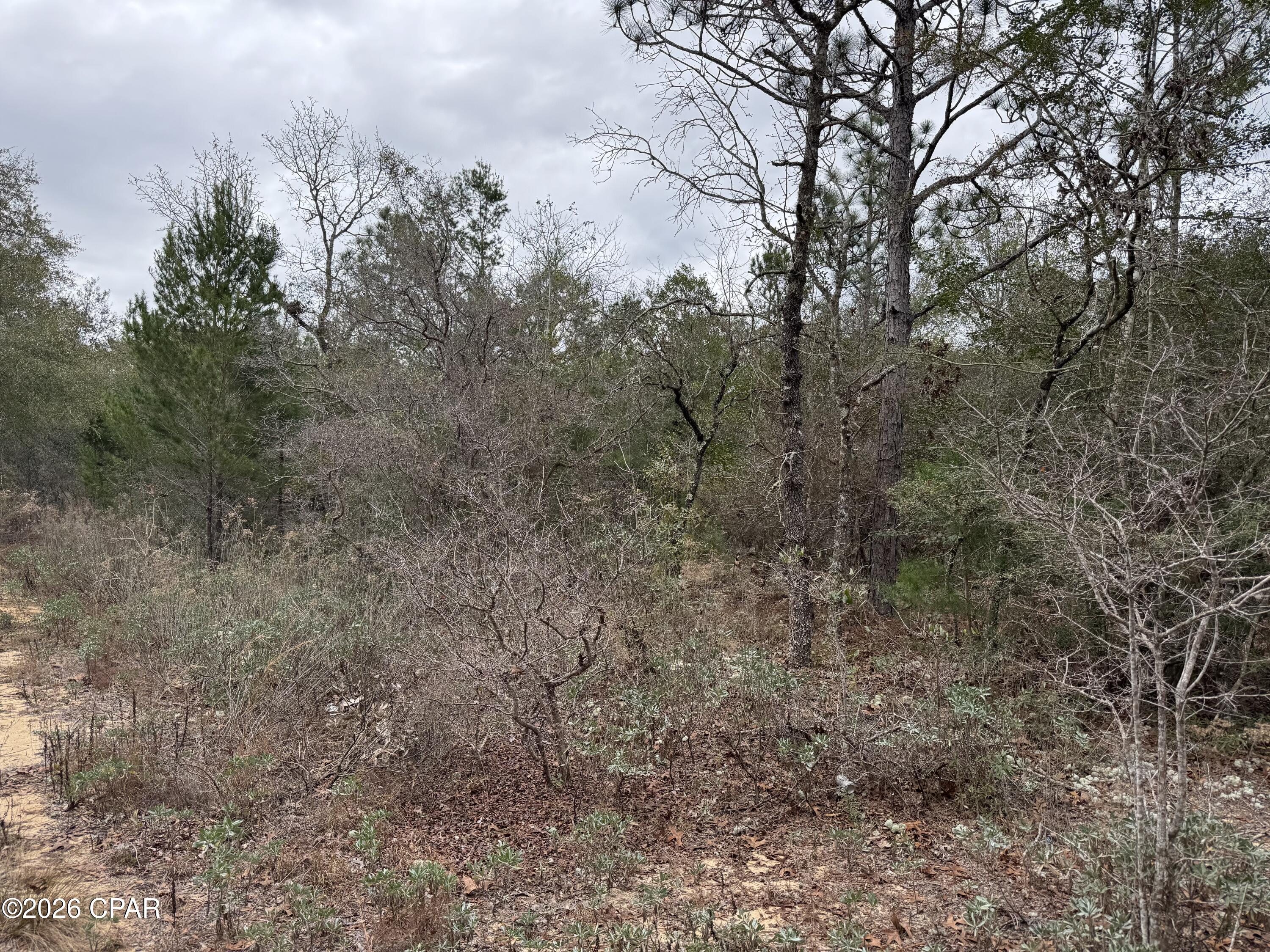 Image 46 For 3100 Bonnett Pond Road