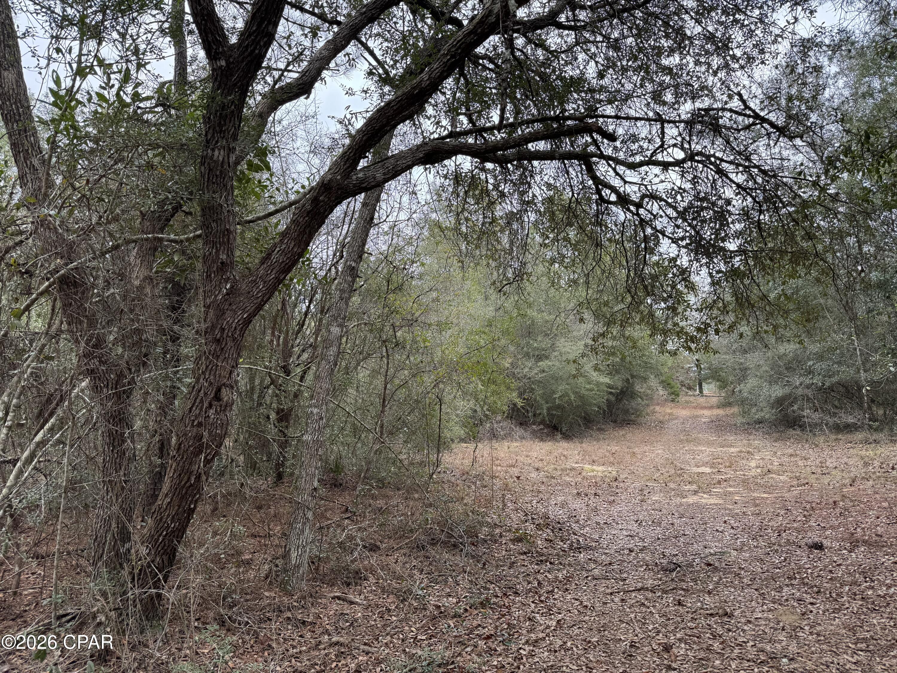 Image 47 For 3100 Bonnett Pond Road