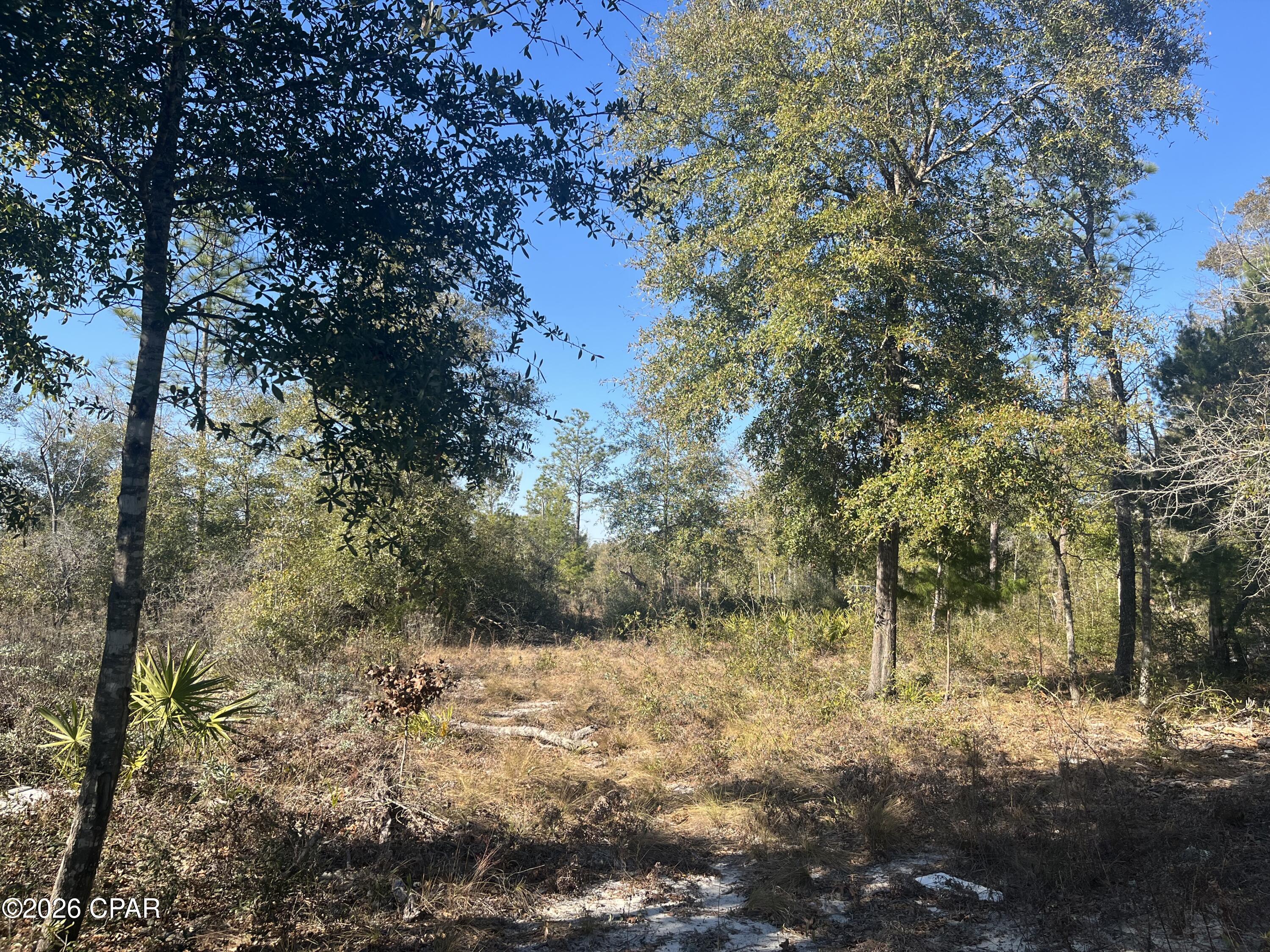 Image 8 For 00 Western Road