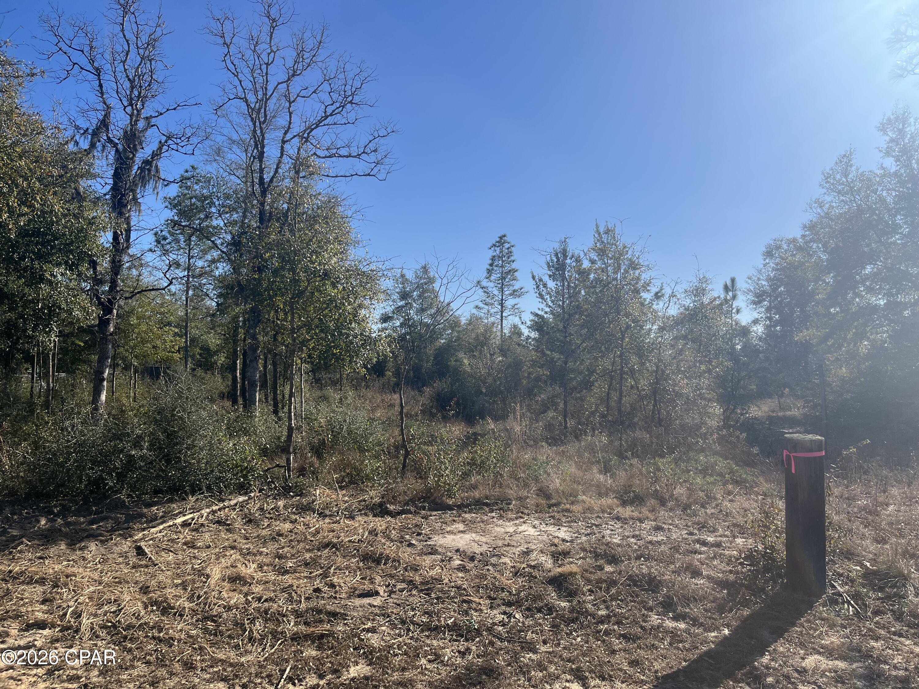 Image 9 For 00 Western Road