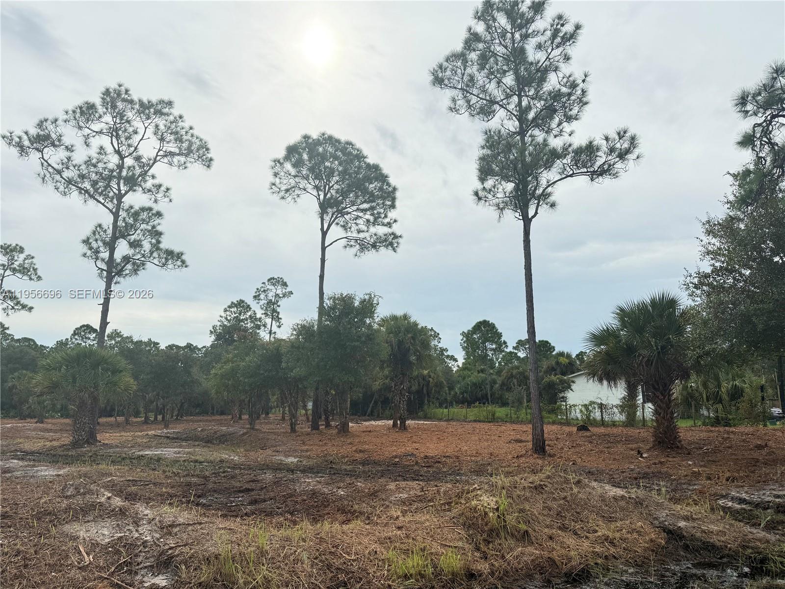 Montura Ranch Estates