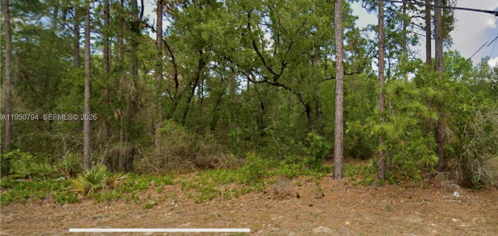 Citrus Springs