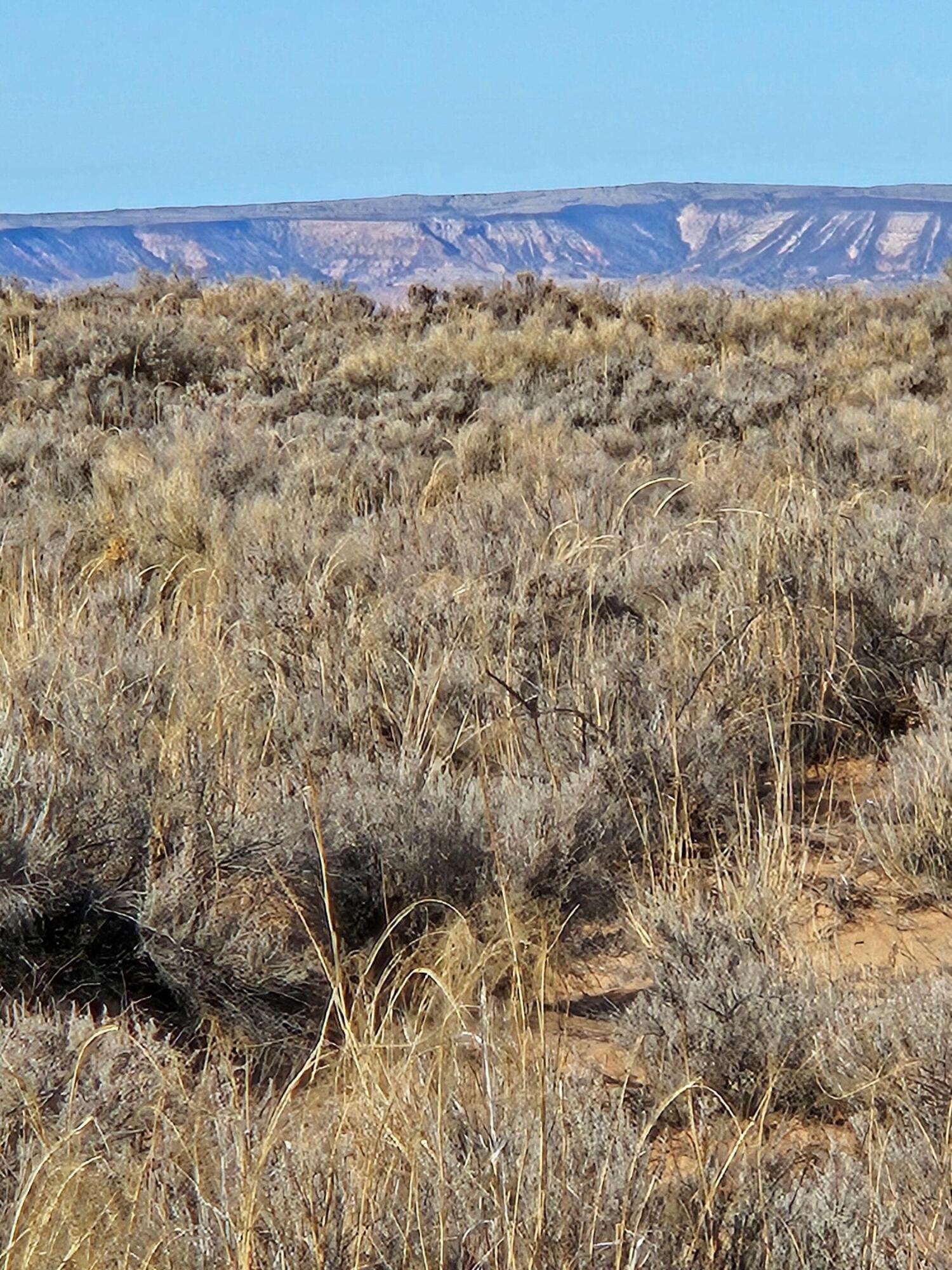 Photo 18 —  Duarte Road