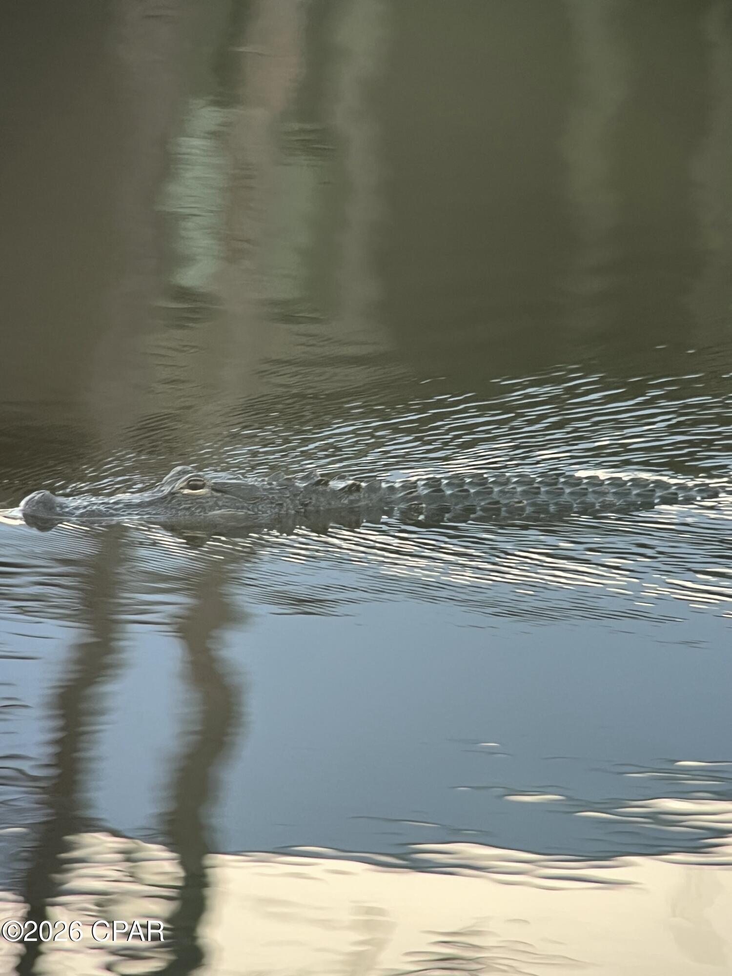 Image 28 For 6320 River House Drive