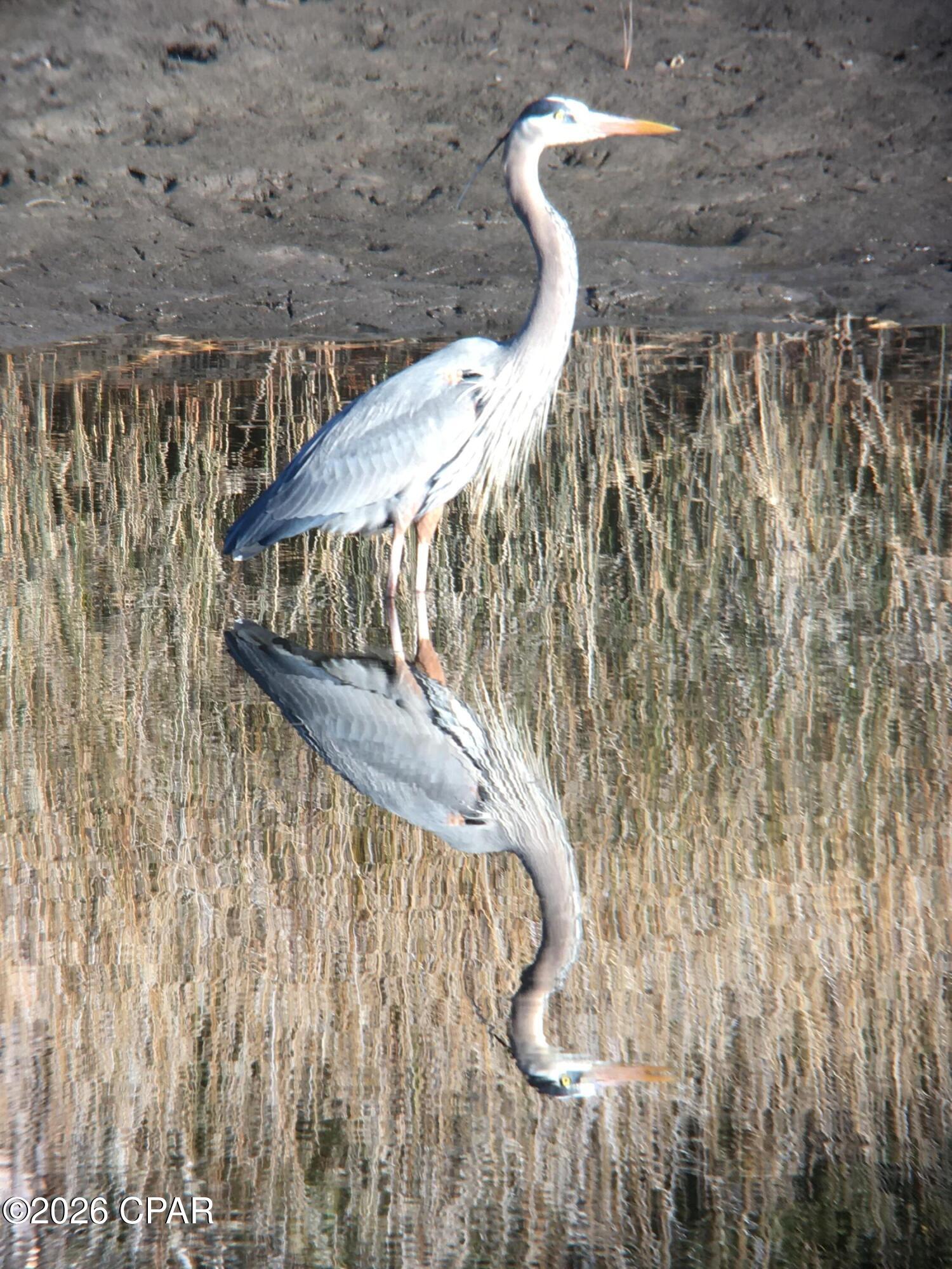 Image 29 For 6320 River House Drive