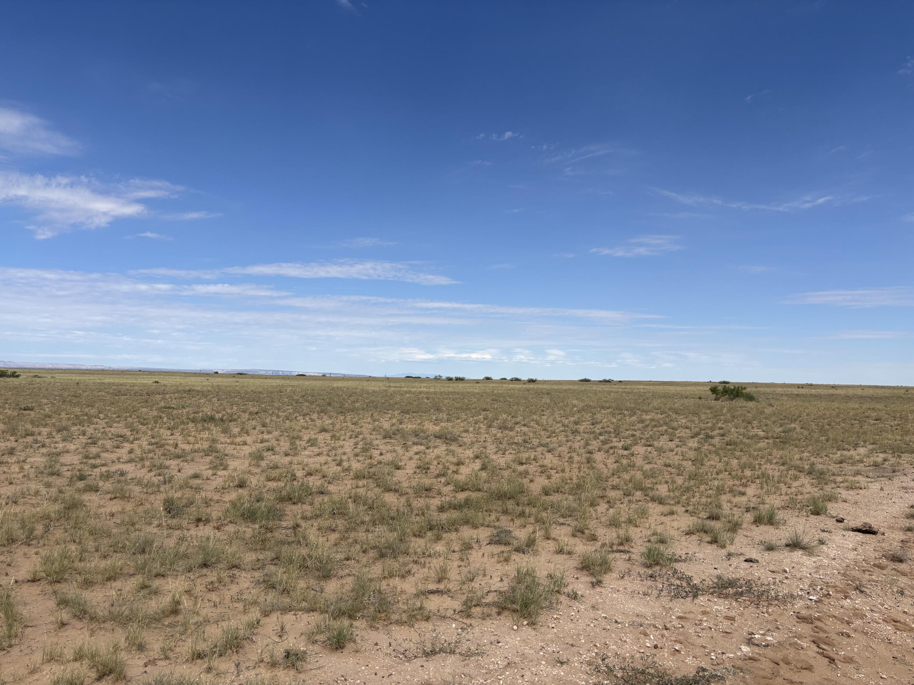 Photo 7 —  OFF OGAZ Road