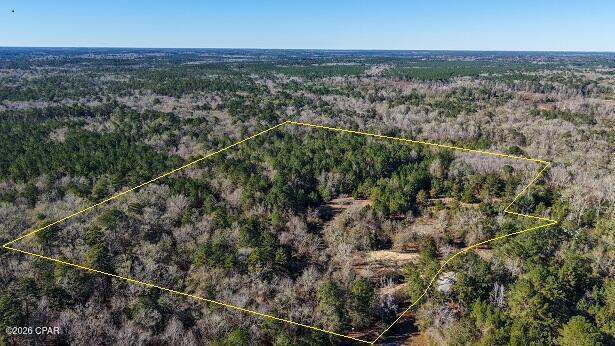 Homes for sale in Ponce De Leon, FL | 660 White Creek Rd, Ponce De Leon, FL 32455 | MLS# 784582