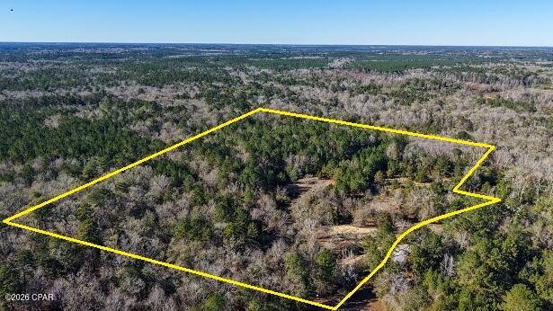 Homes for sale in Ponce De Leon, FL | 660 White Creek Rd, Ponce De Leon, FL 32455 | MLS# 784582