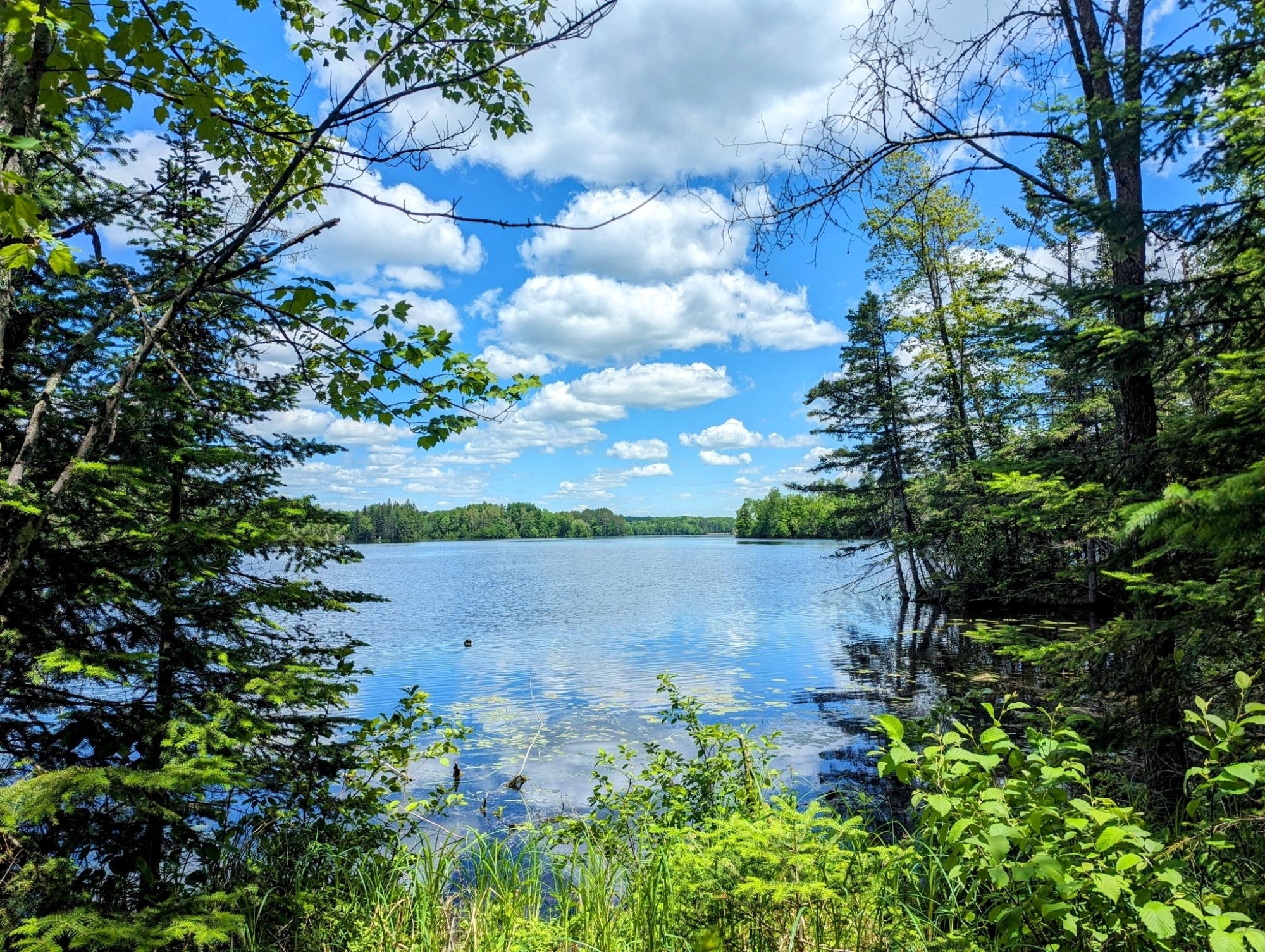 Undocumented Lake Property w4584 Musser Dr Photo 4