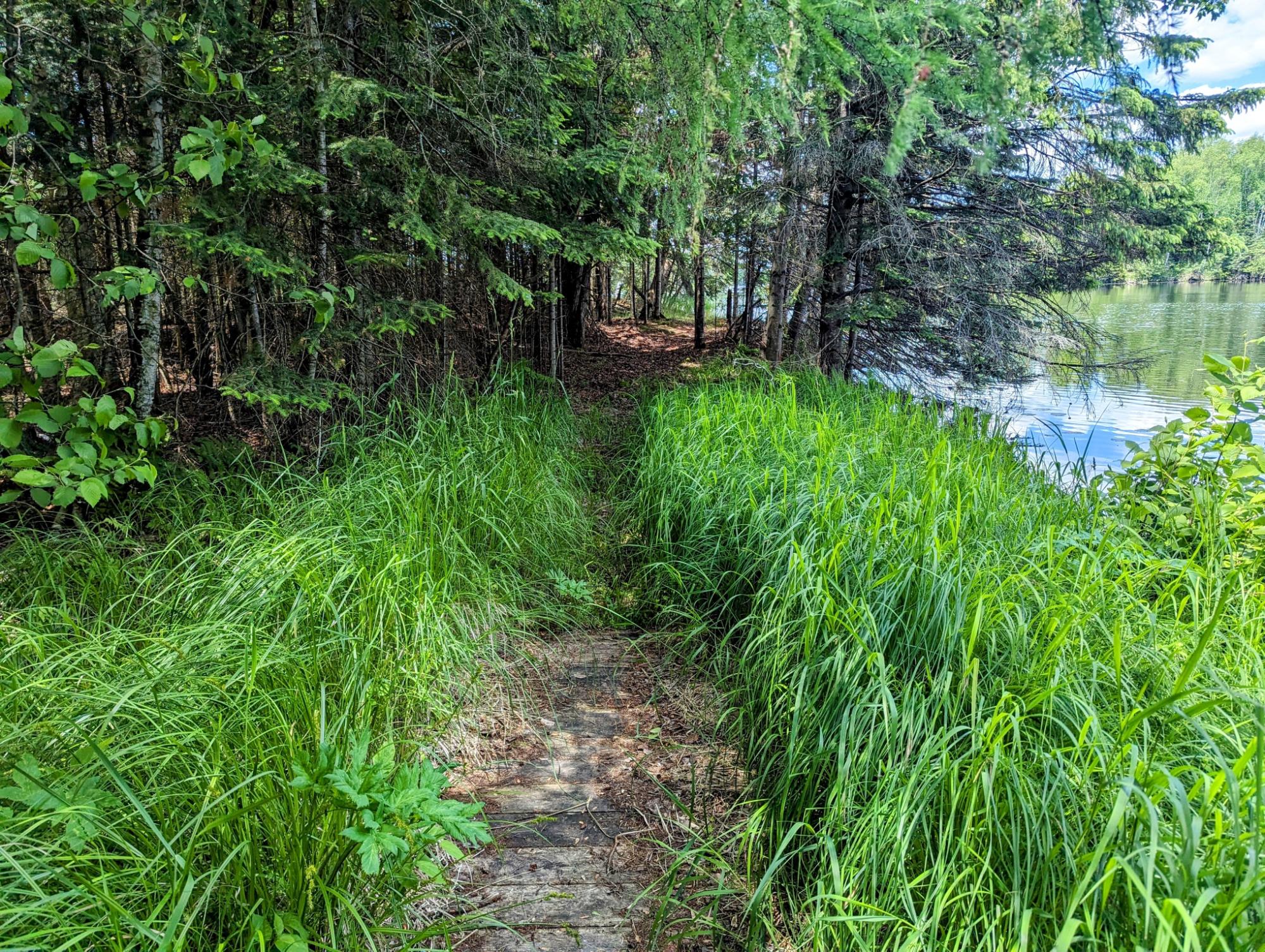 Undocumented Lake Property w4584 Musser Dr Photo 41