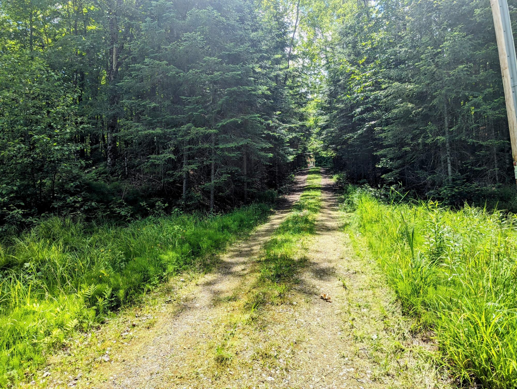 Undocumented Lake Property w4584 Musser Dr Photo 49