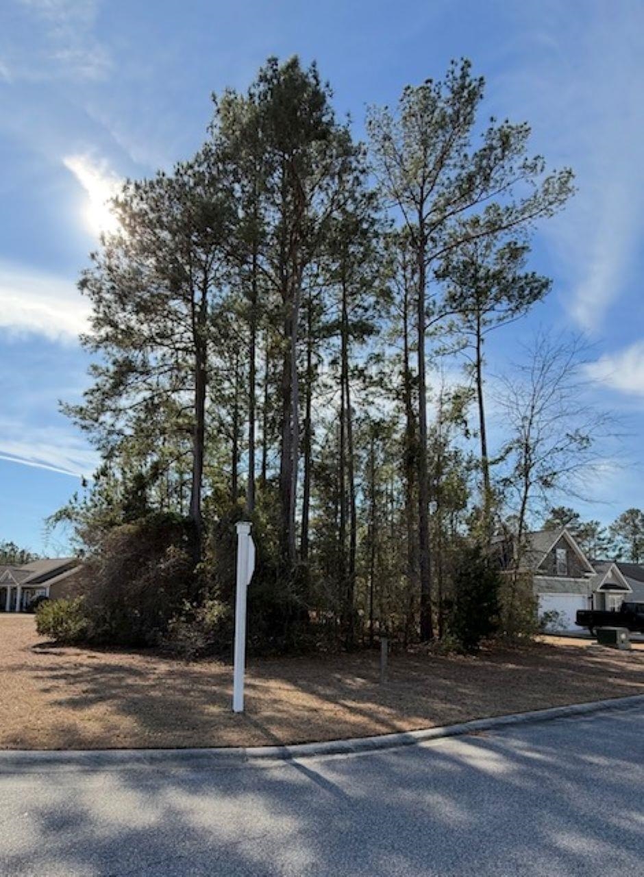 2001 Spring Valley Ct. Loris, SC 29569