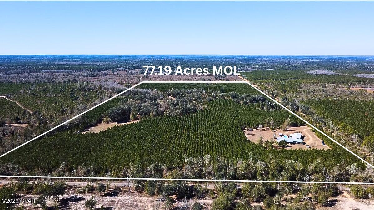 Details for 1112 Max Herrin Road, Chattahoochee, FL 32324