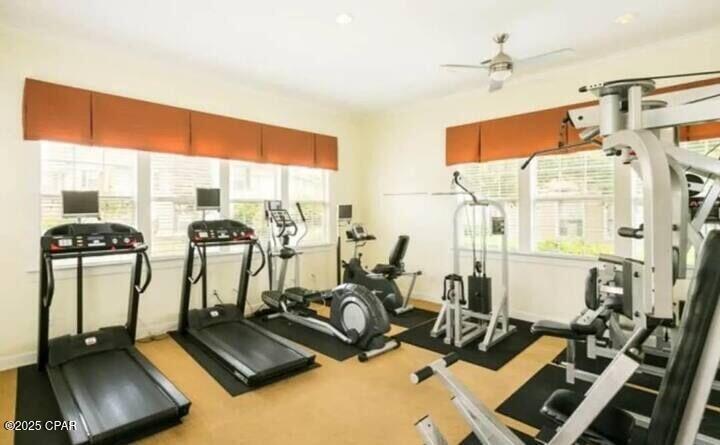 Image 12 For 506 Lighthouse Road