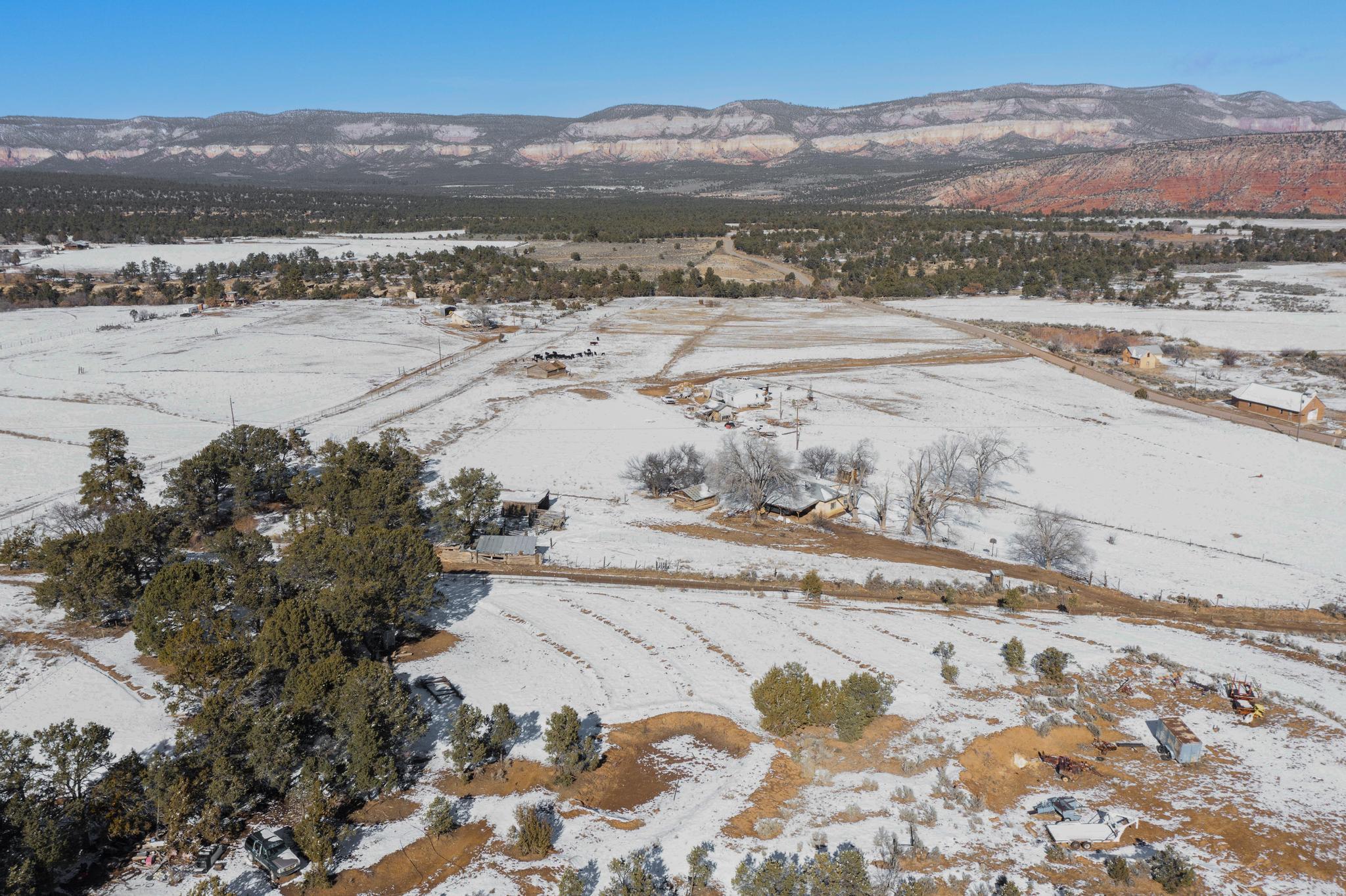 Homes for sale in Coyote, NM | 440 County Rd 426, Coyote, NM 87017 | MLS# 1097769