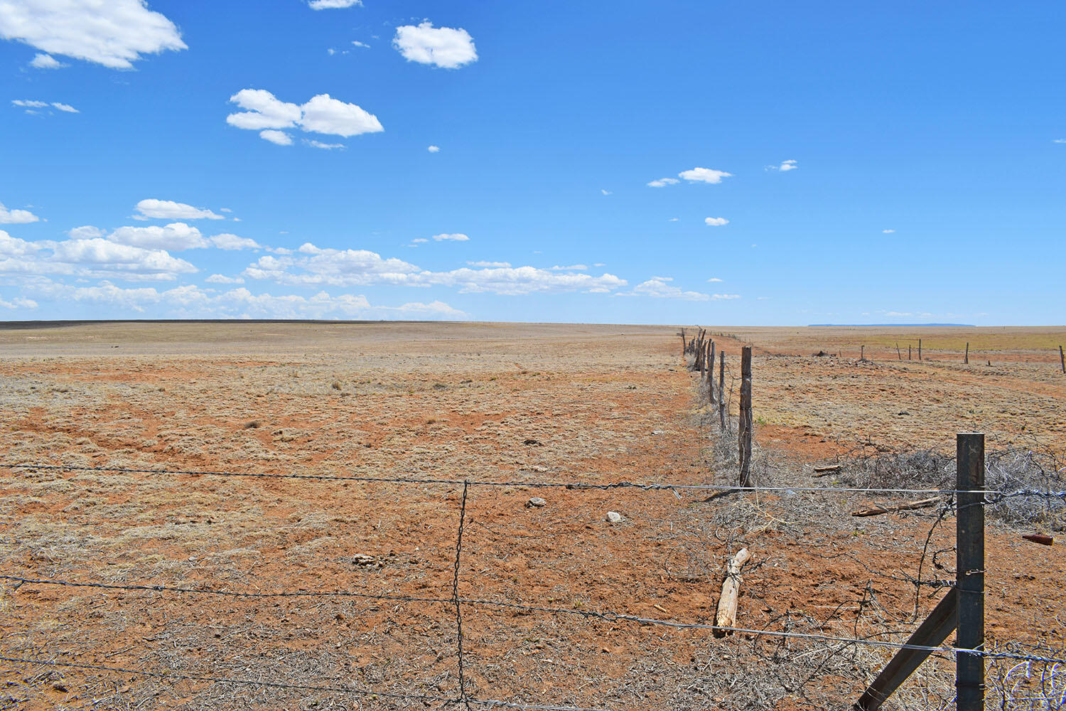 Photo 13 — Tract B-R New Mexico 55