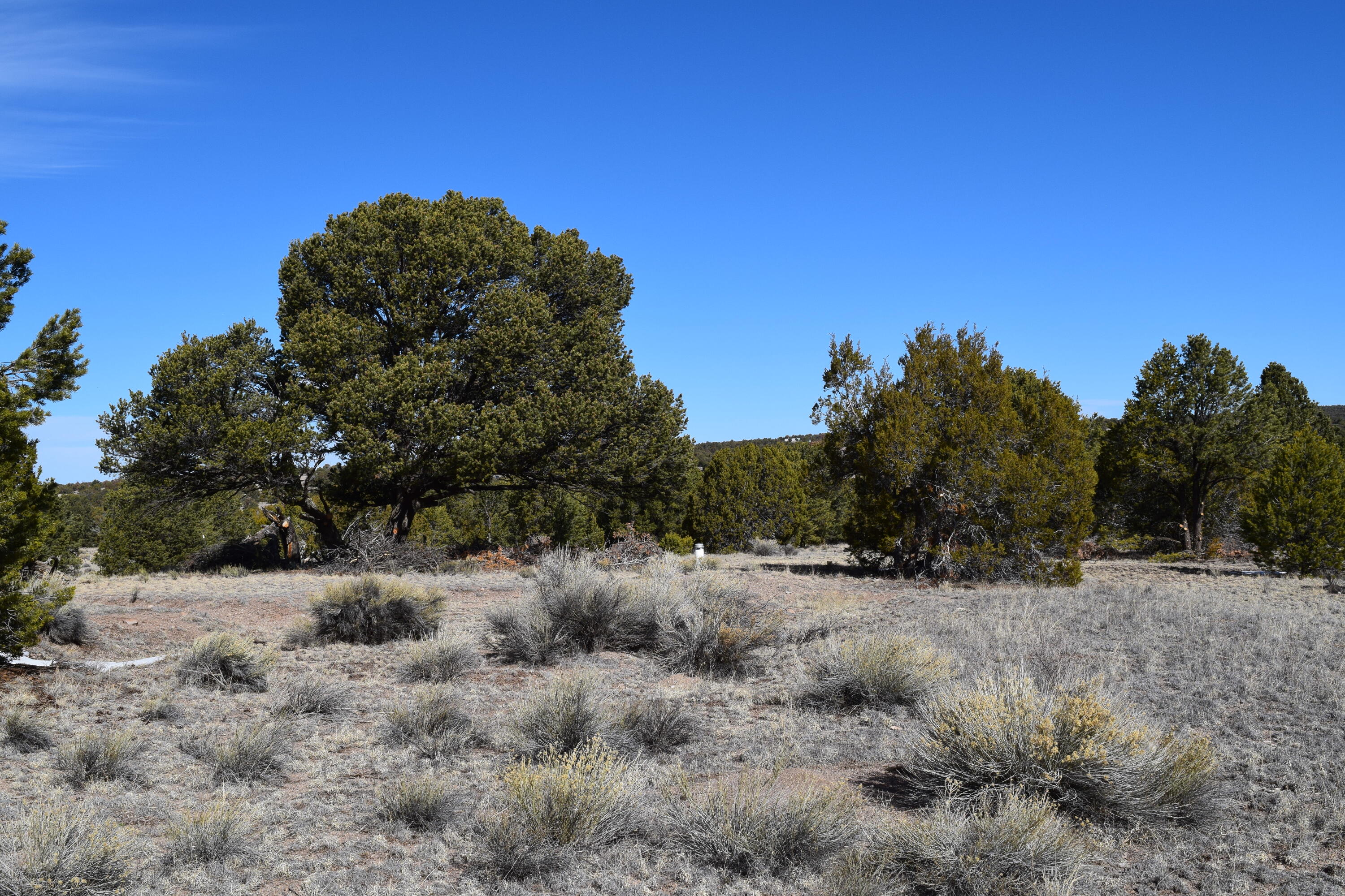 Homes for sale in Pie Town, NM | Lot 14 Elk Ridge, Pie Town, NM 87827 | MLS# 1097785