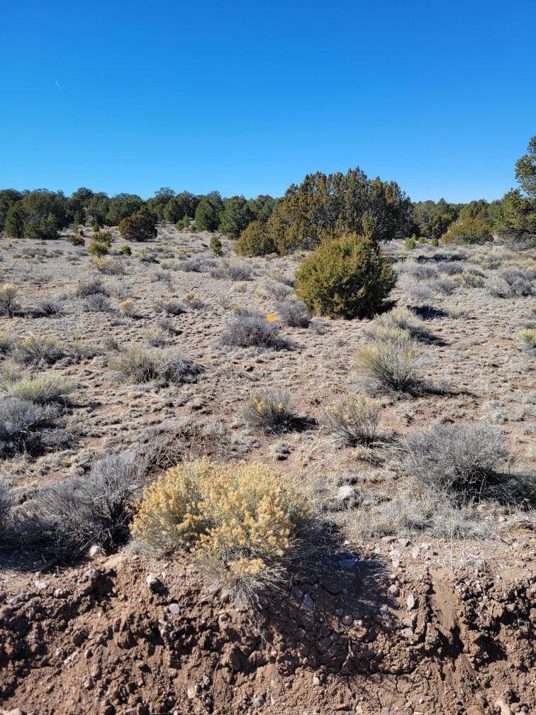 Homes for sale in Pie Town, NM | Lot 14 Elk Ridge, Pie Town, NM 87827 | MLS# 1097785