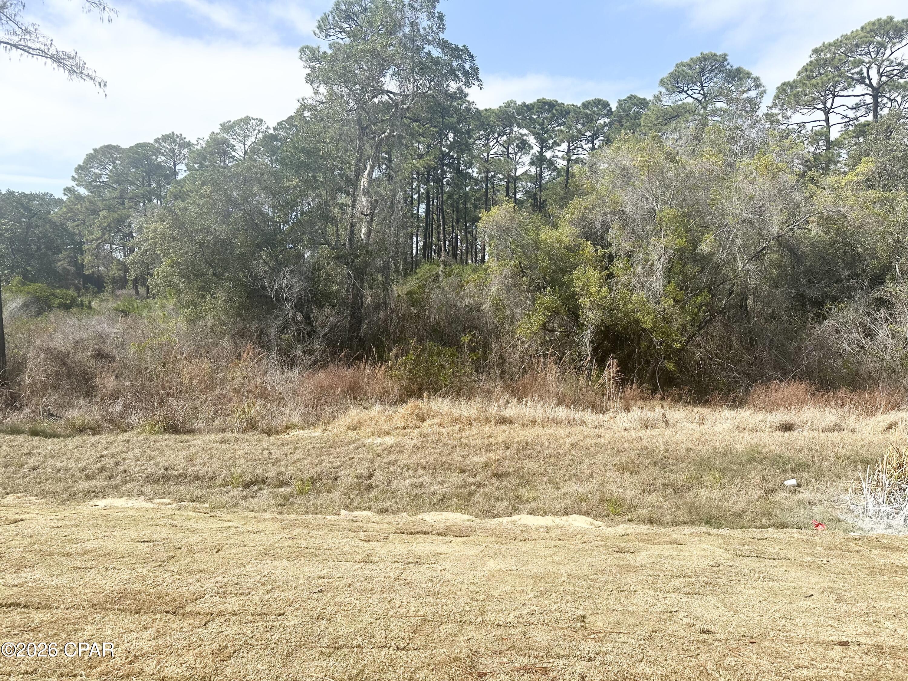 Image 8 For 315 Cyan Lane 32