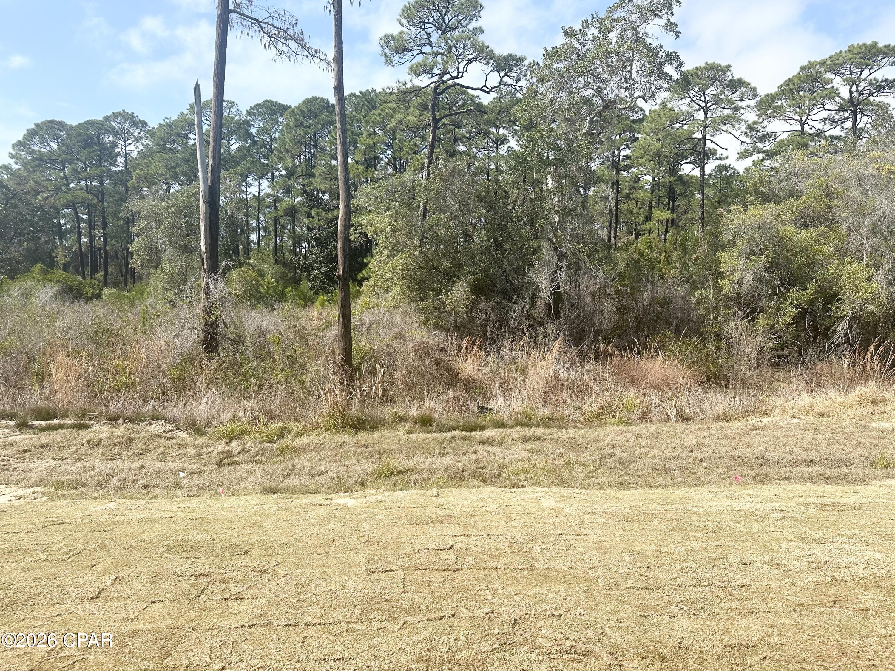 Image 8 For 311 Cyan Lane 30