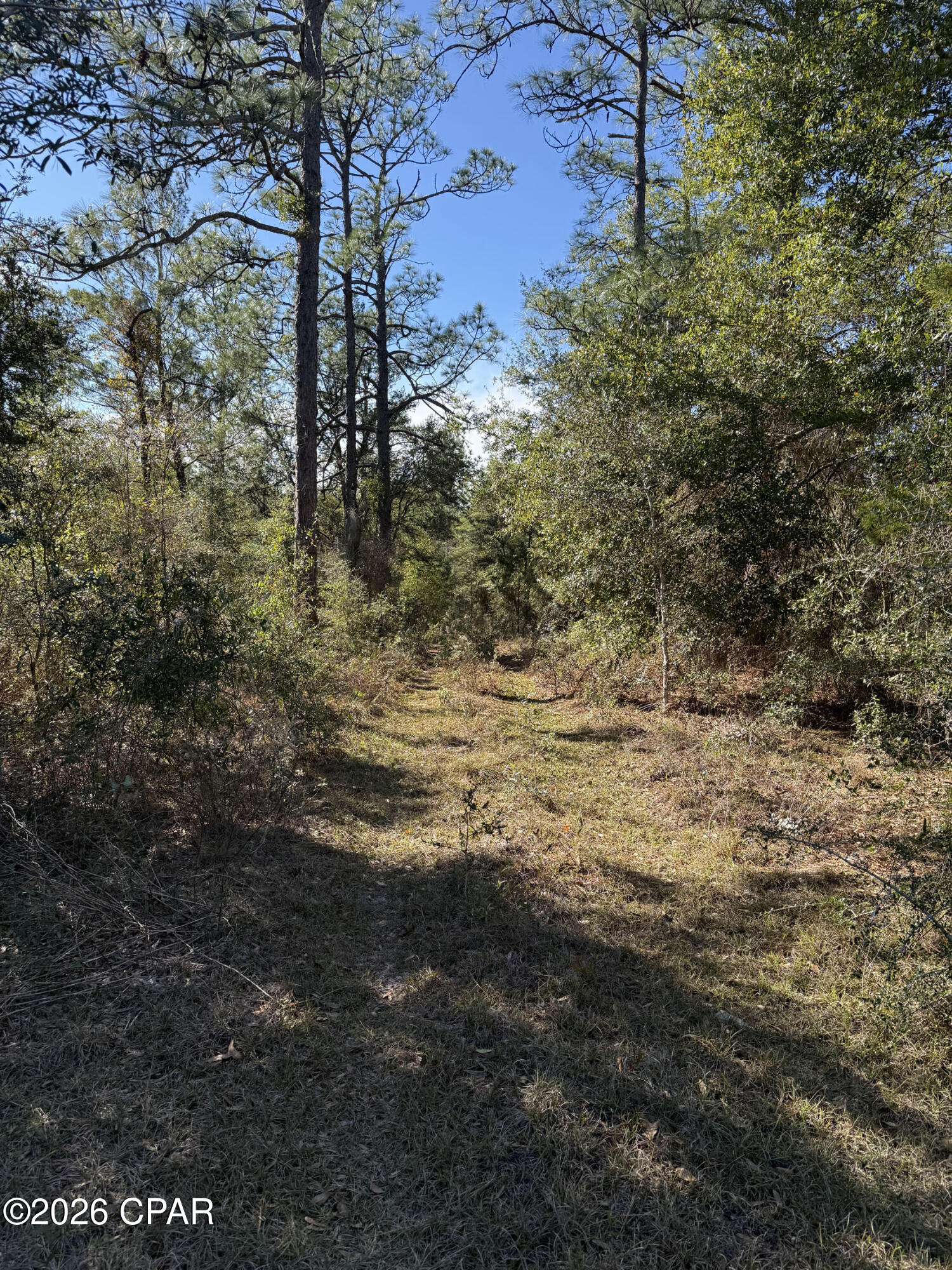 Details for Lot 21 Grassy Pond Road, Chipley, FL 32428