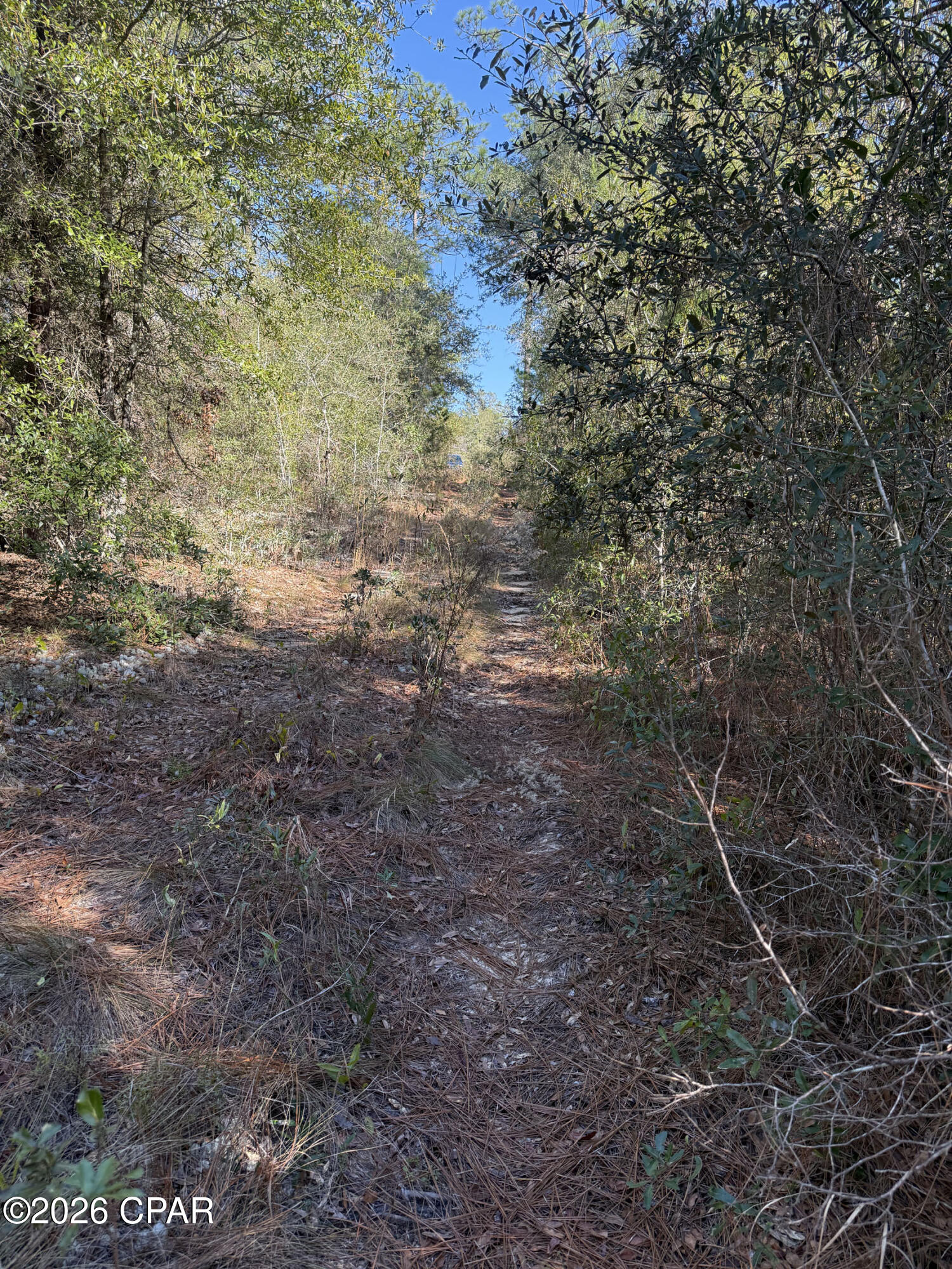 Image 15 For Lot 21 Grassy Pond Road