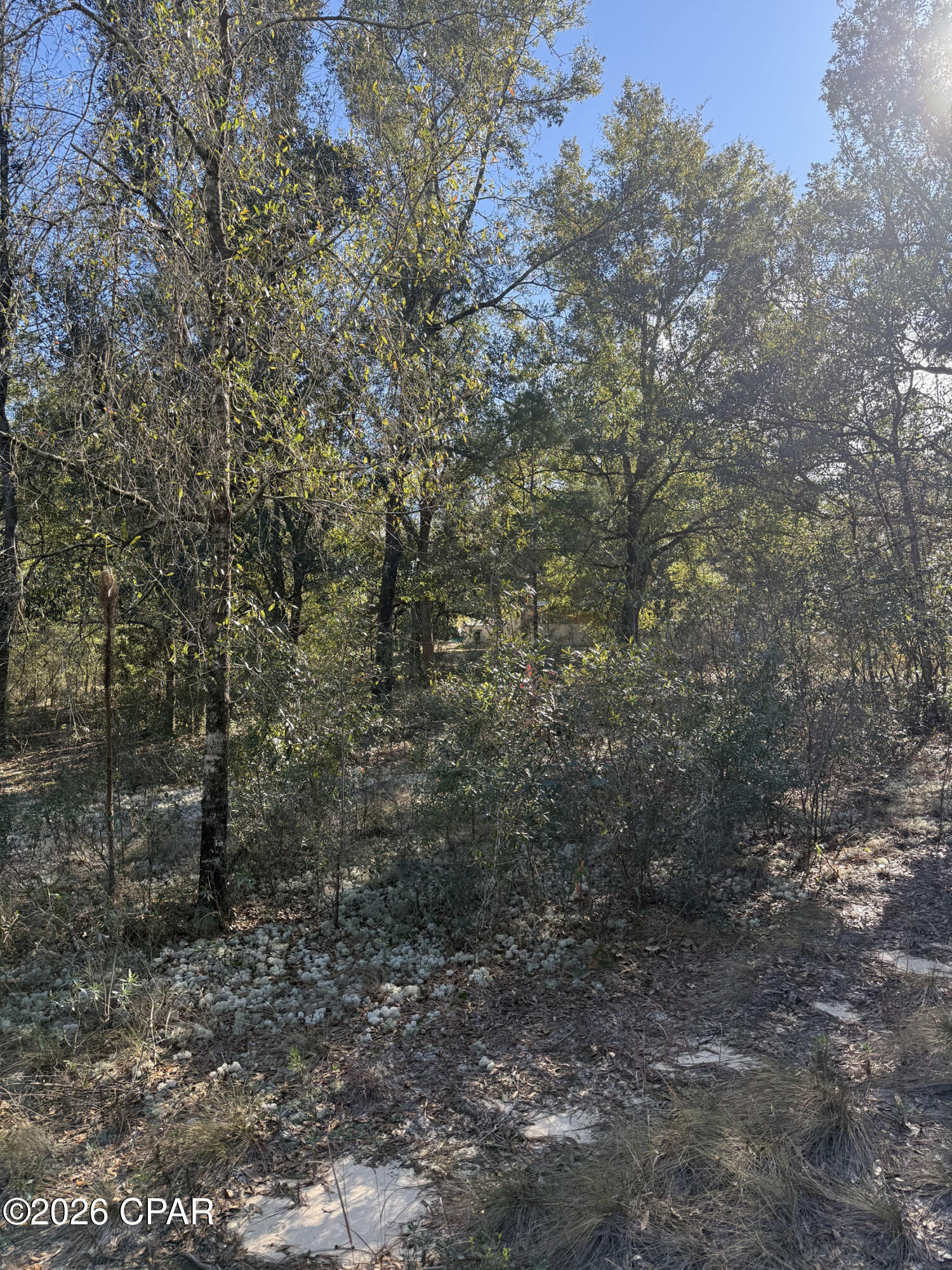 Image 3 For Lot 21 Grassy Pond Road