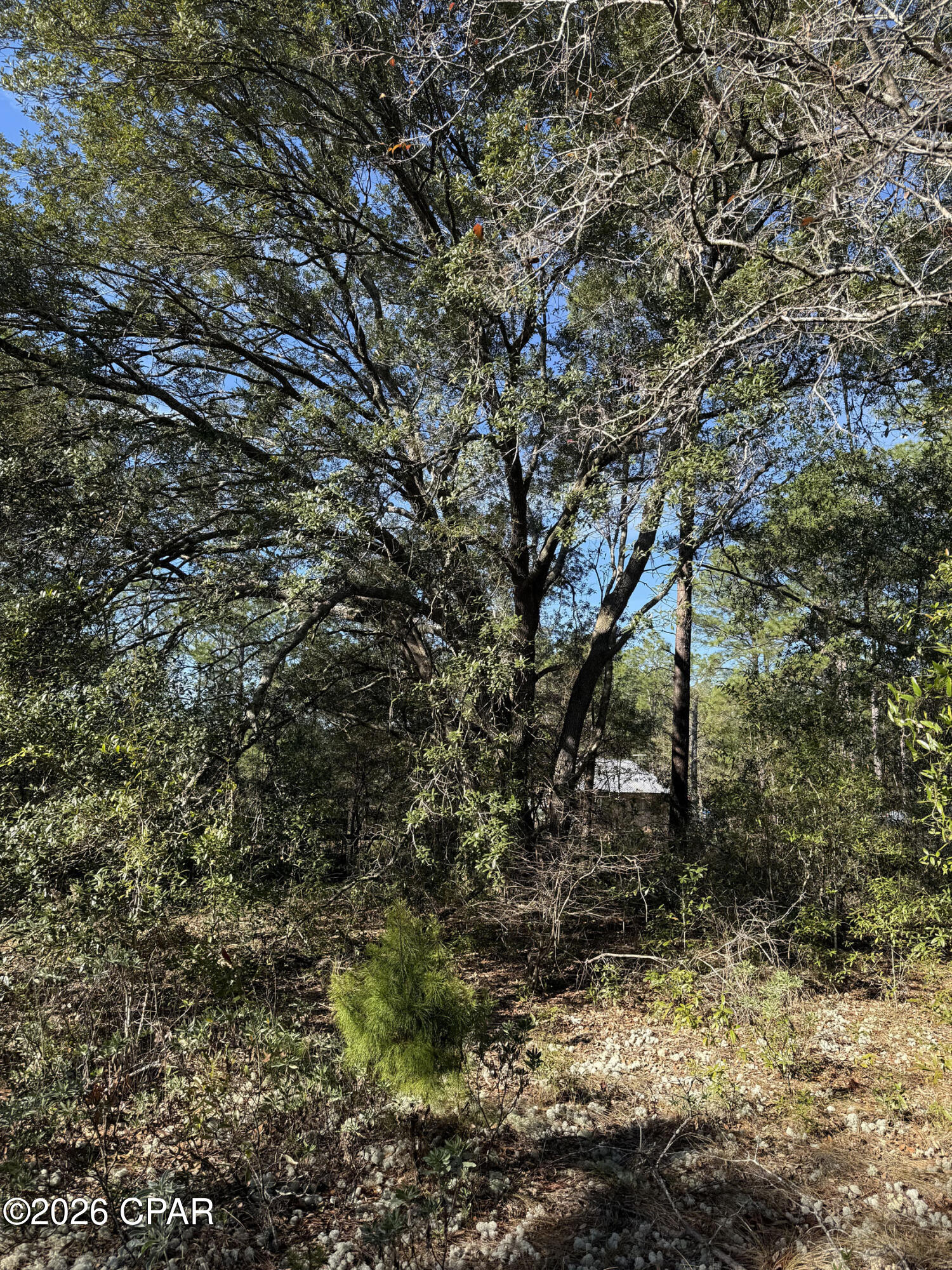 Image 4 For Lot 21 Grassy Pond Road