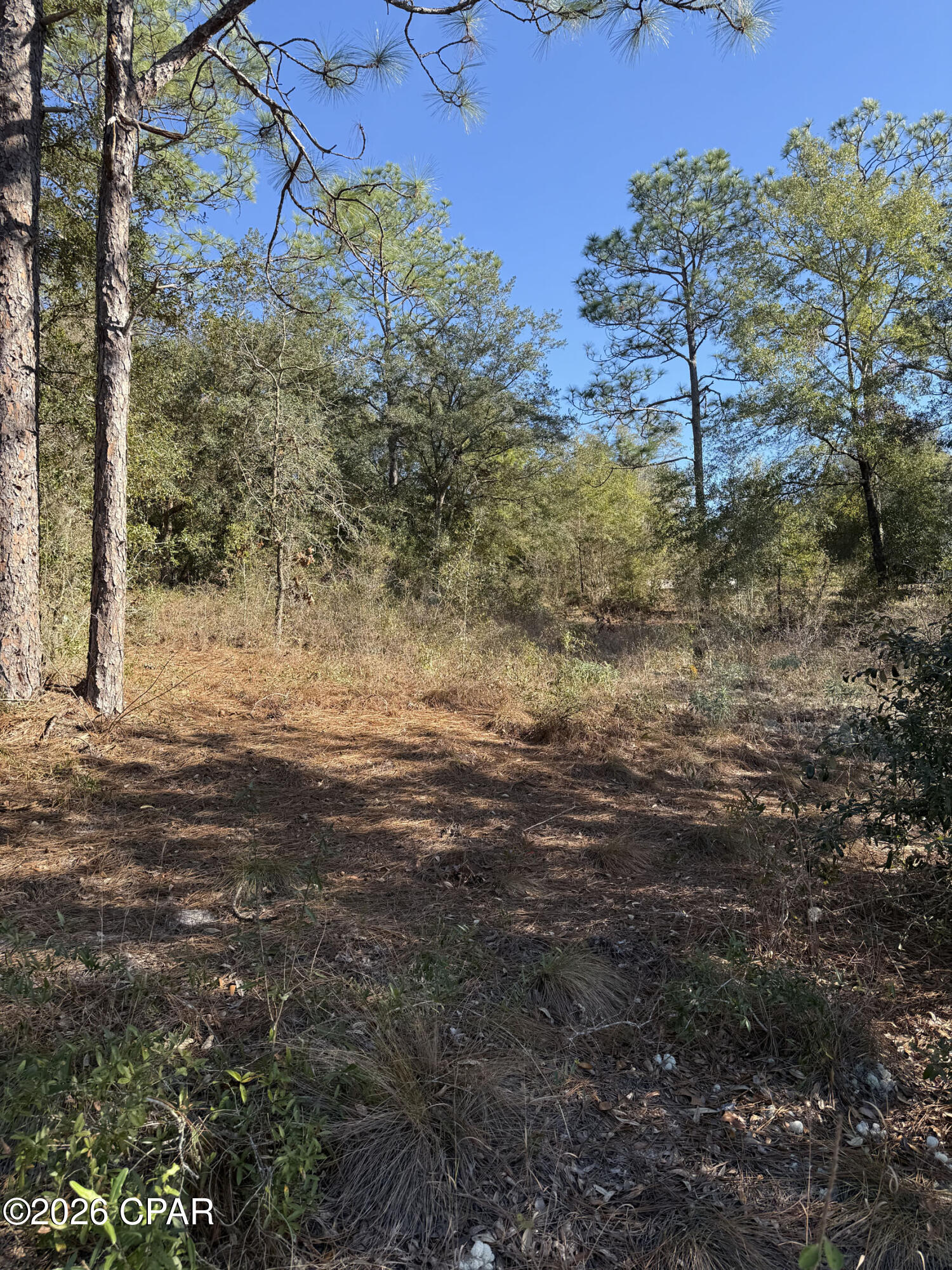 Image 8 For Lot 21 Grassy Pond Road