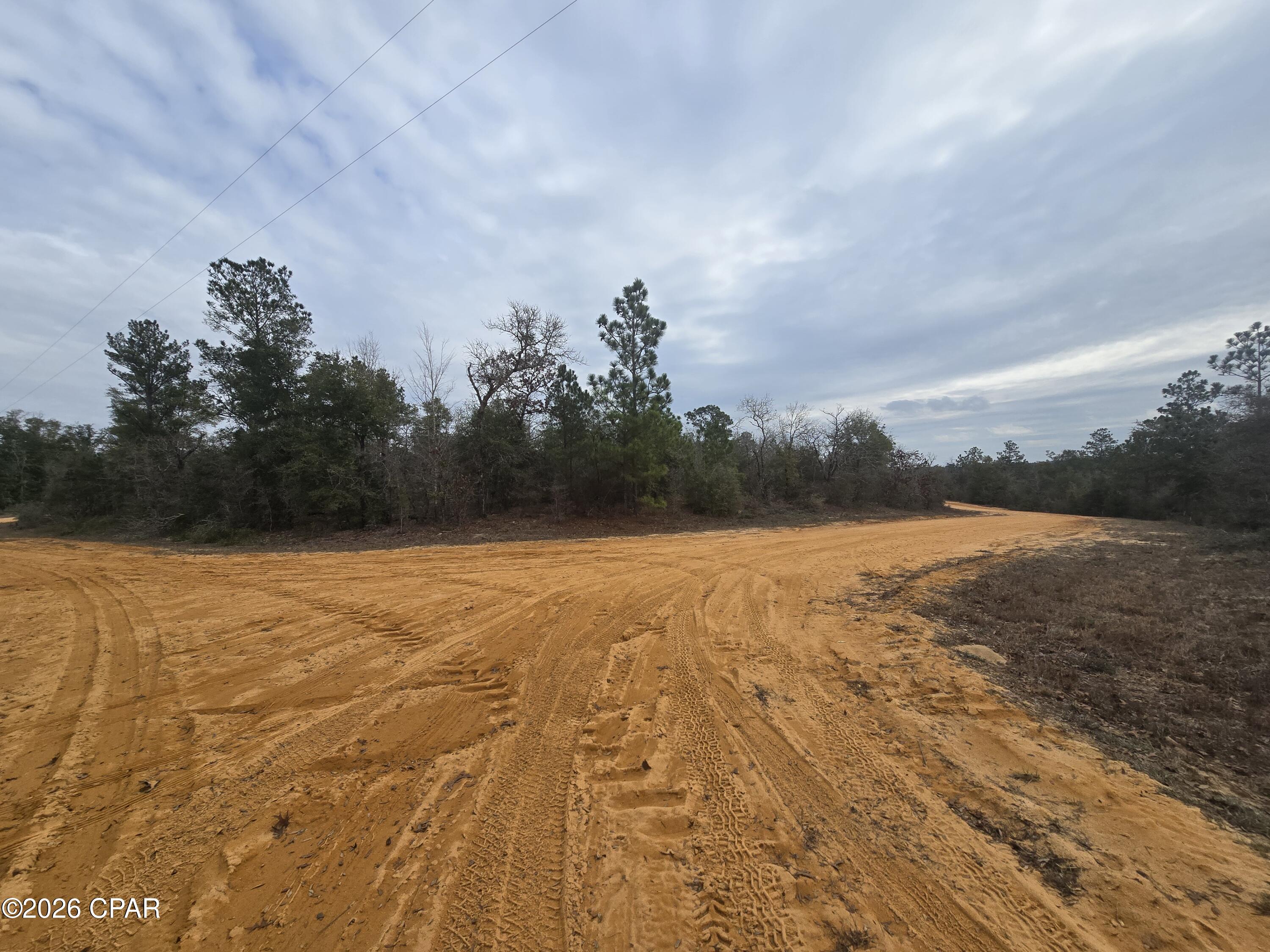 Image 2 For 000 Pembroke