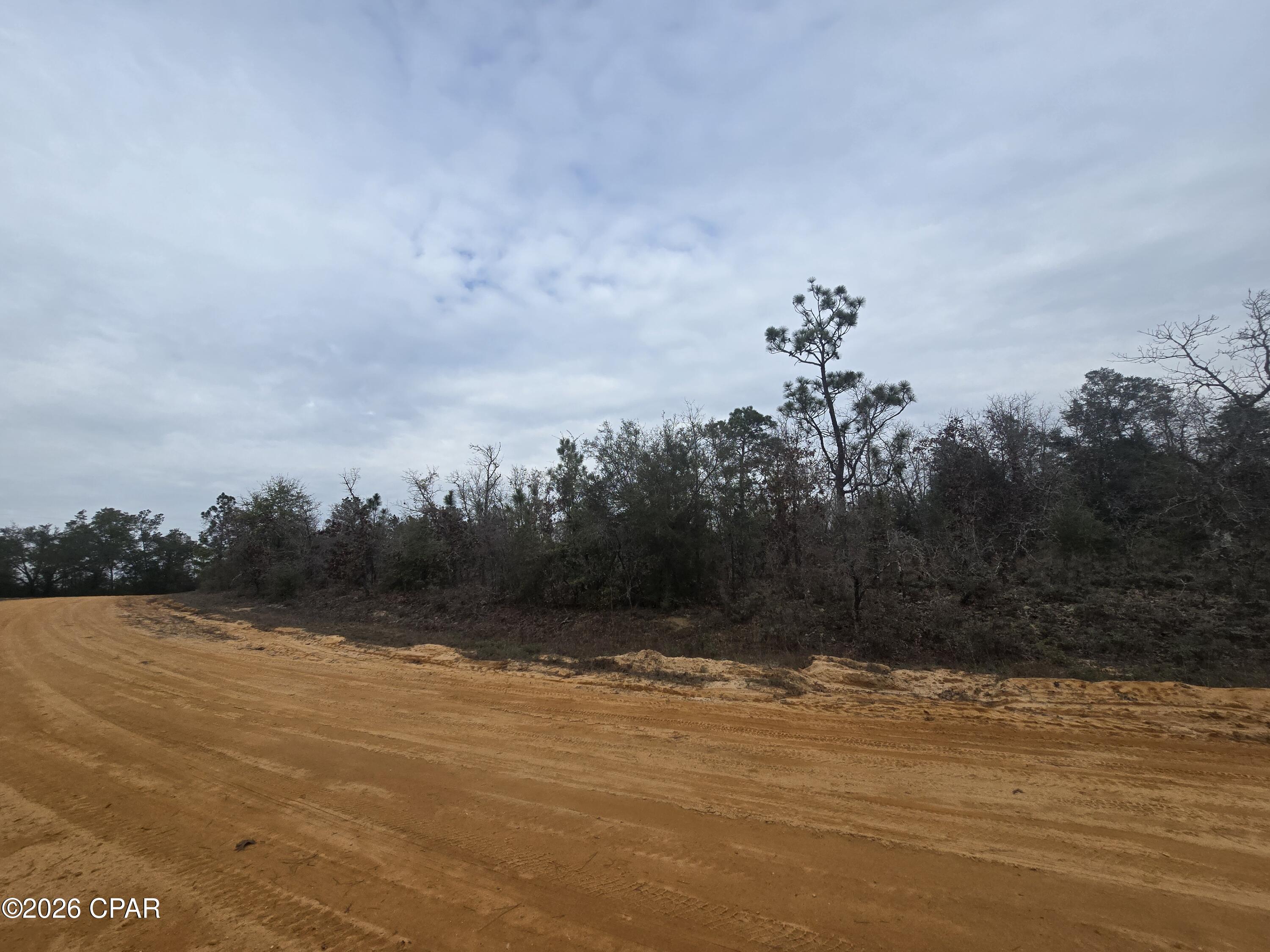 Image 4 For 000 Pembroke