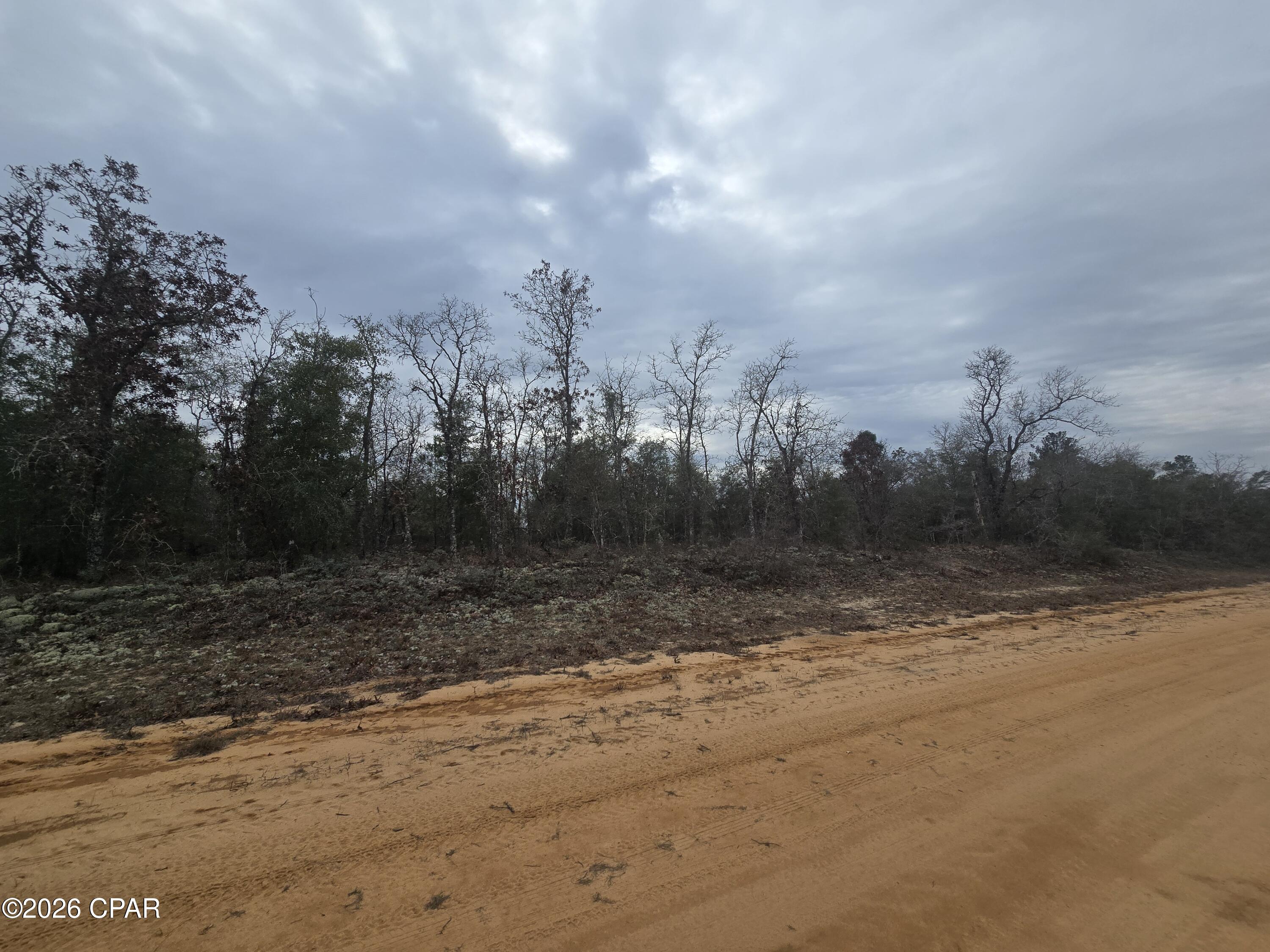 Image 5 For 000 Pembroke