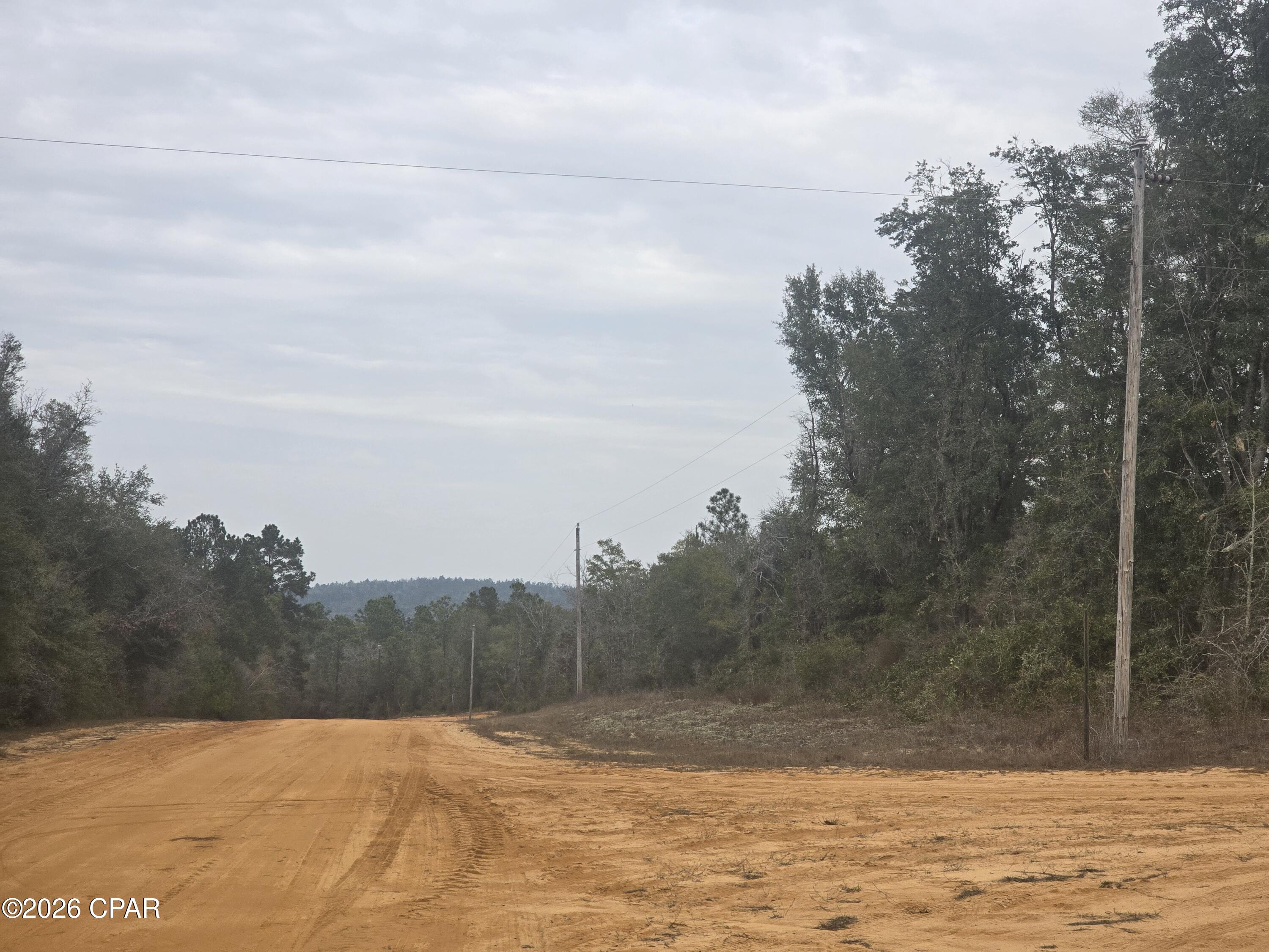 Image 6 For 000 Pembroke