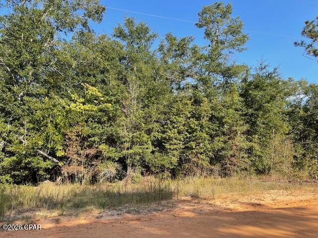 Details for 0 Koskiusko Drive, Alford, FL 32420