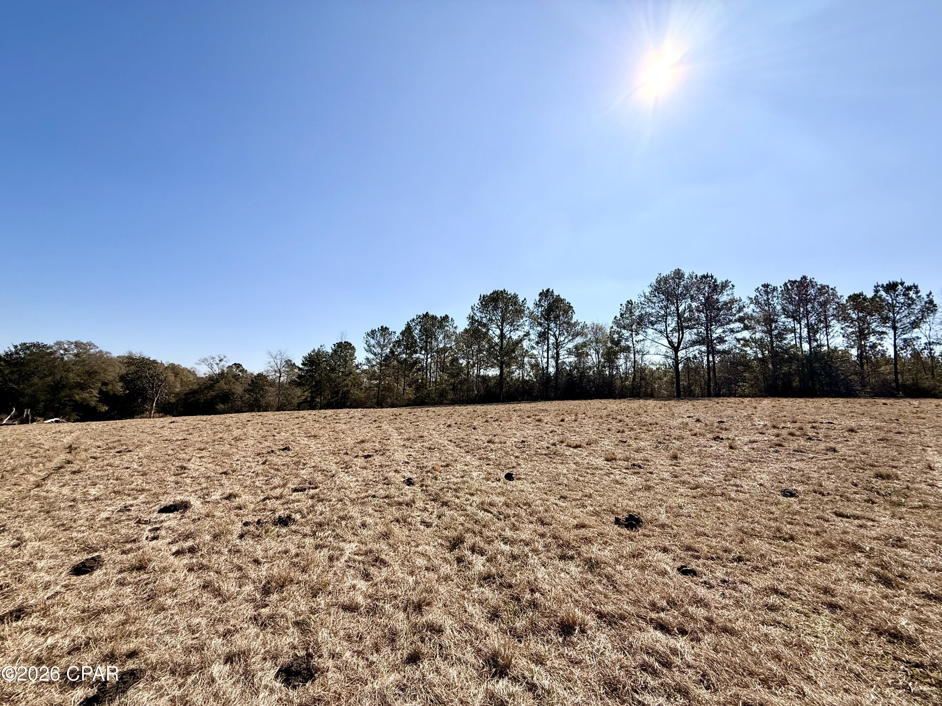 Listing photo id 10 for 0 Hwy 2a  