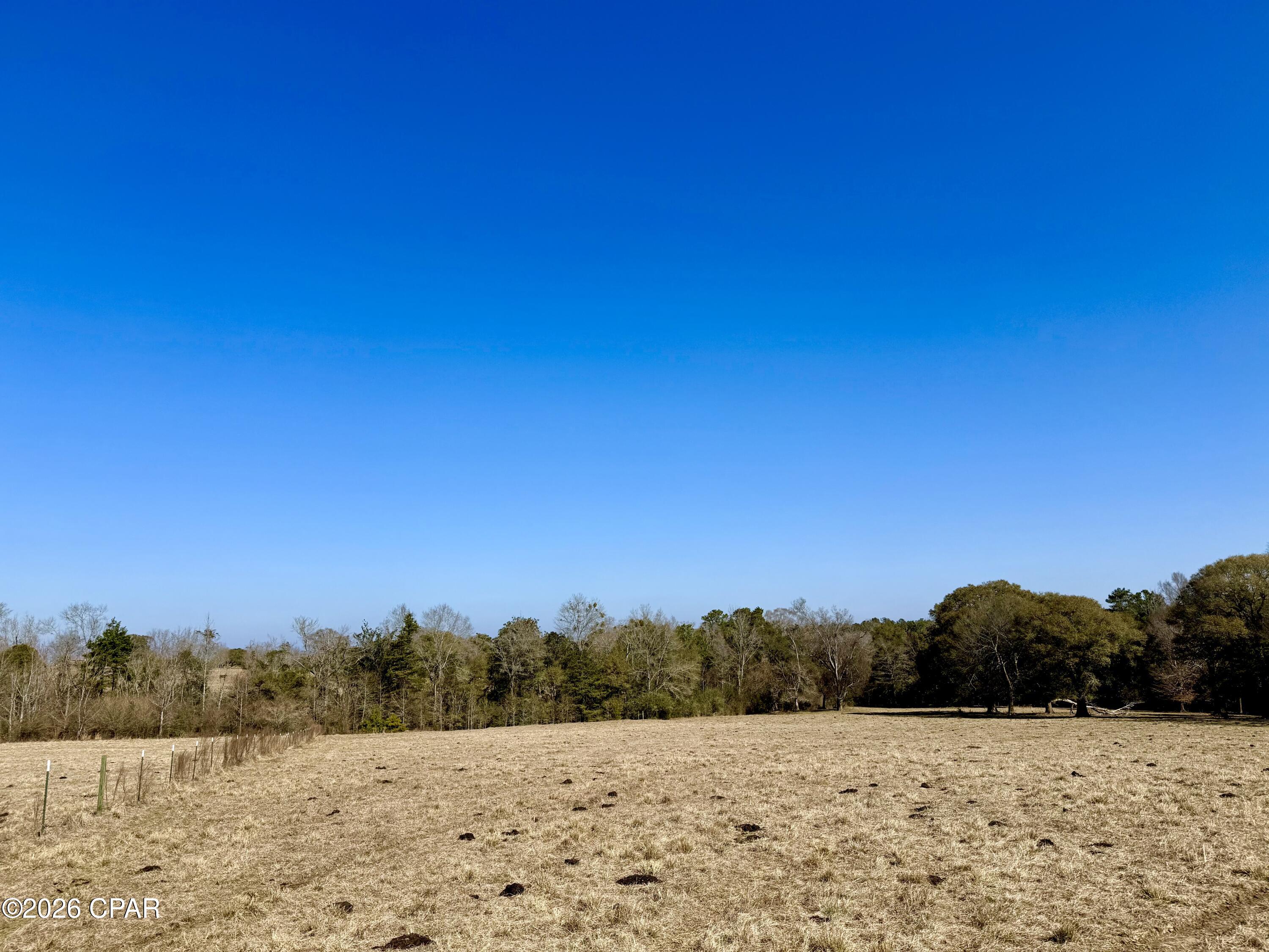 Listing photo id 11 for 0 Hwy 2a  