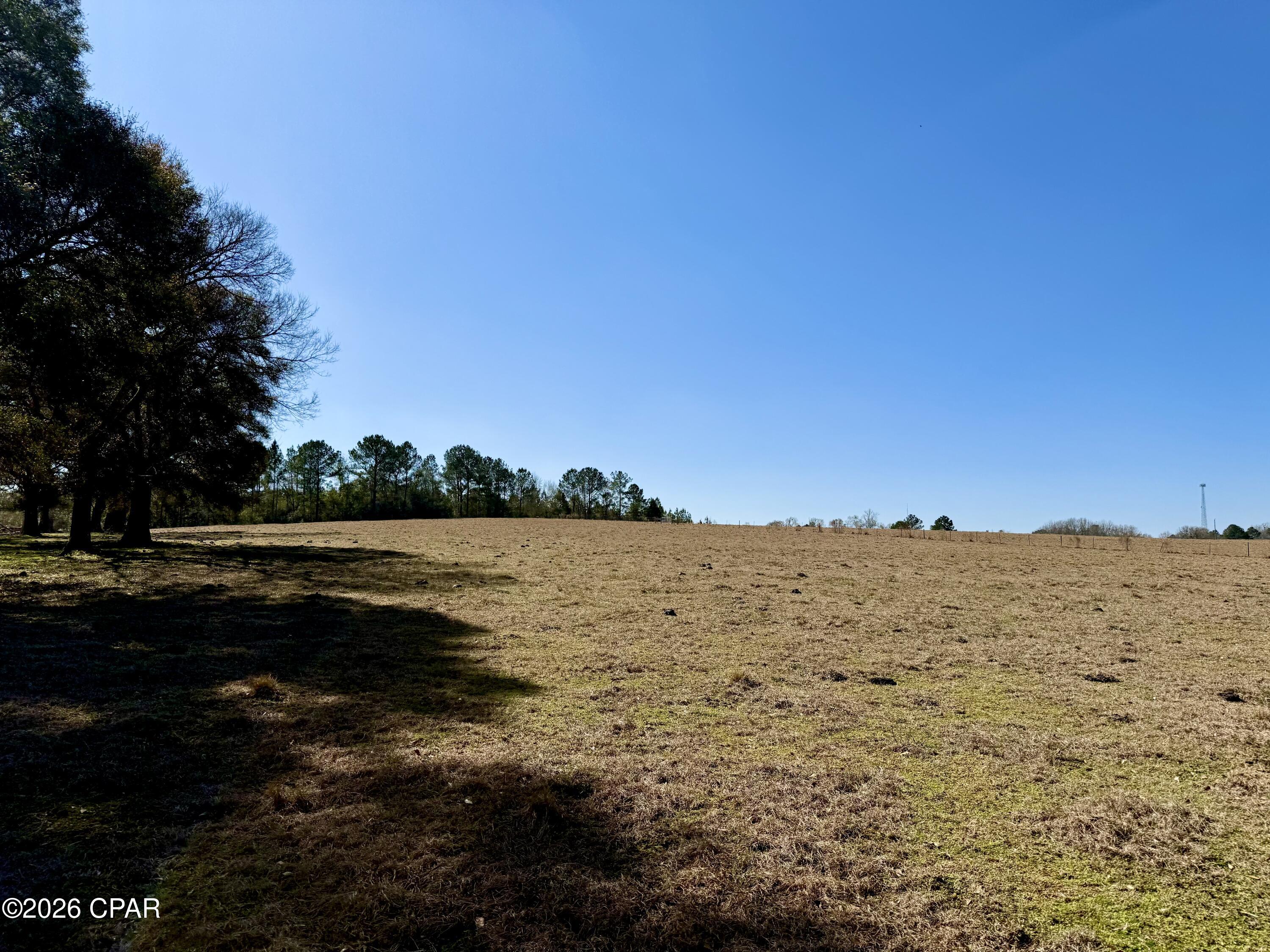 Listing photo id 15 for 0 Hwy 2a  