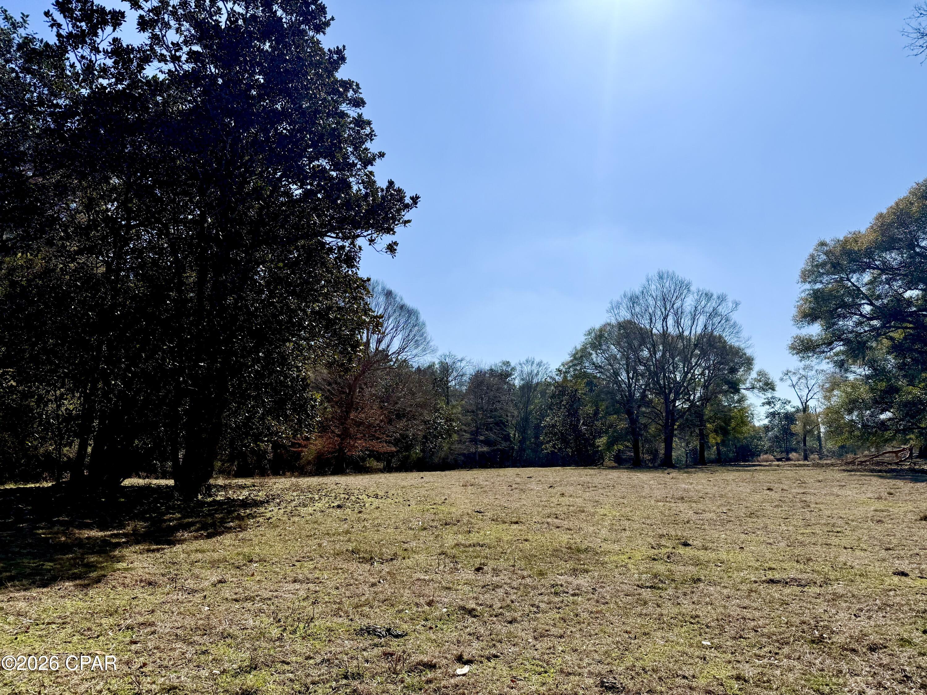 Listing photo id 19 for 0 Hwy 2a  