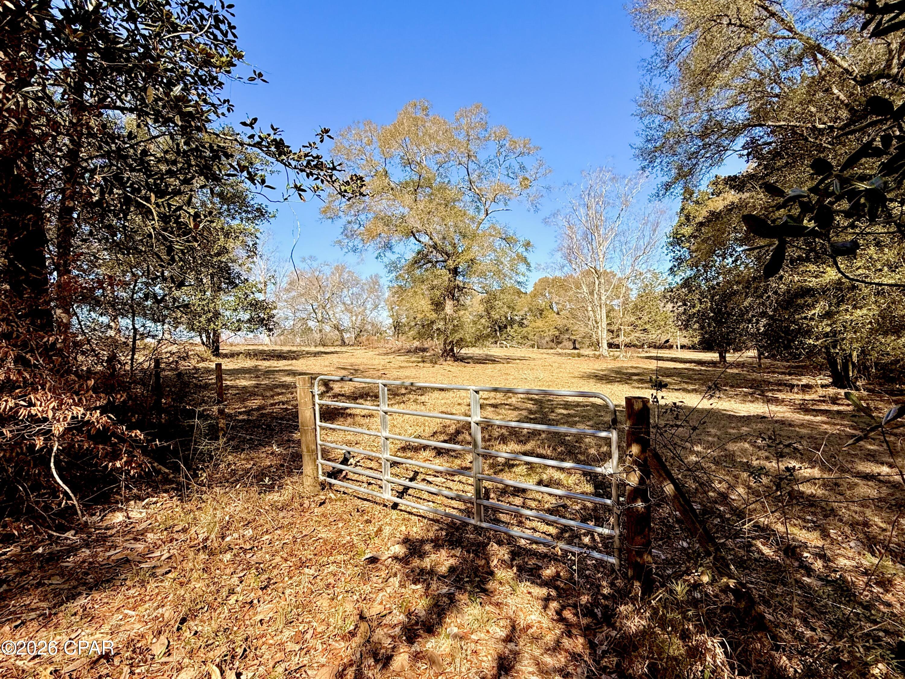 Homes for sale in Westville, FL | 0 Hwy 2a, Westville, FL 32464 | MLS# 784730