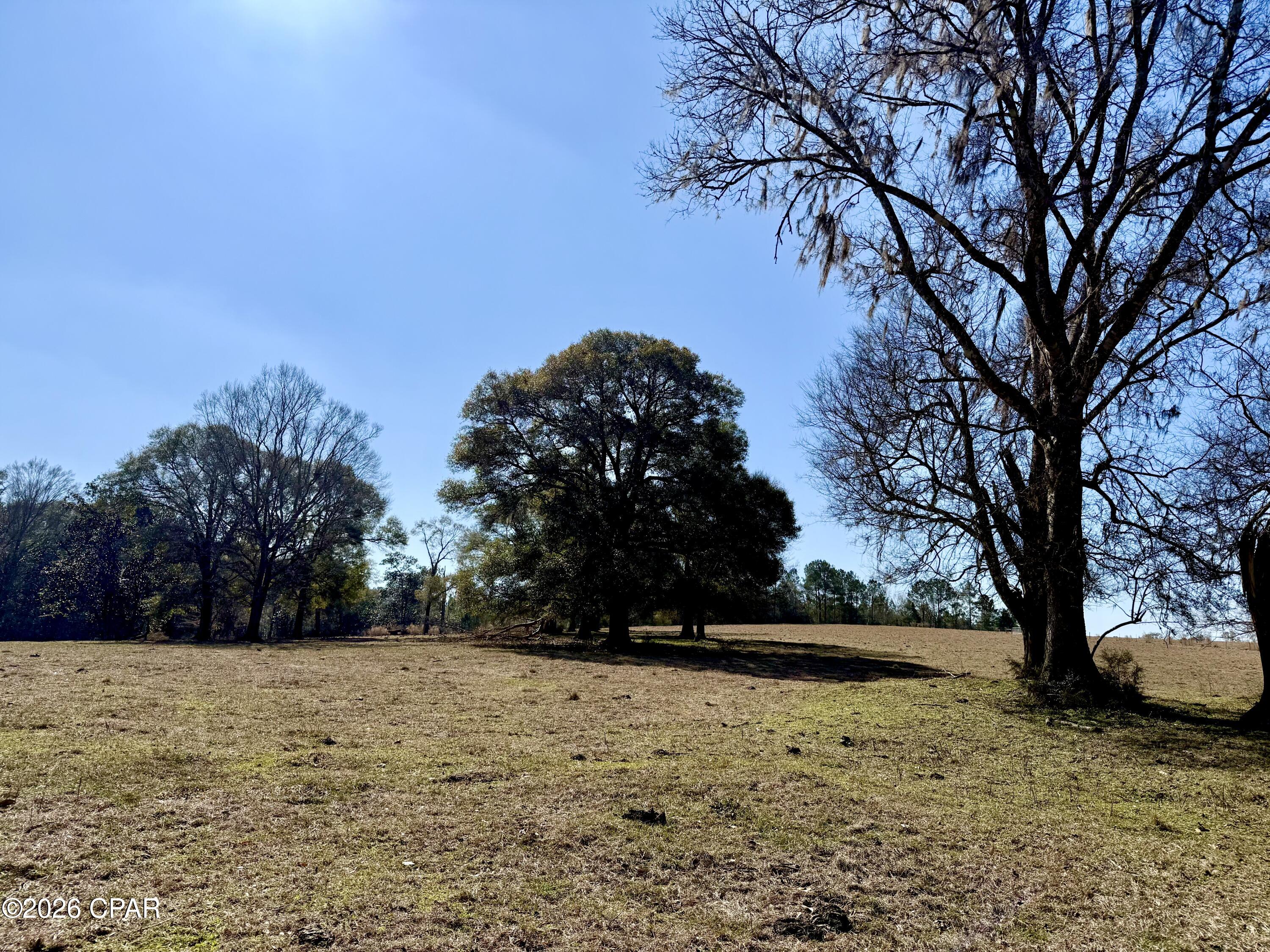 Listing photo id 20 for 0 Hwy 2a  