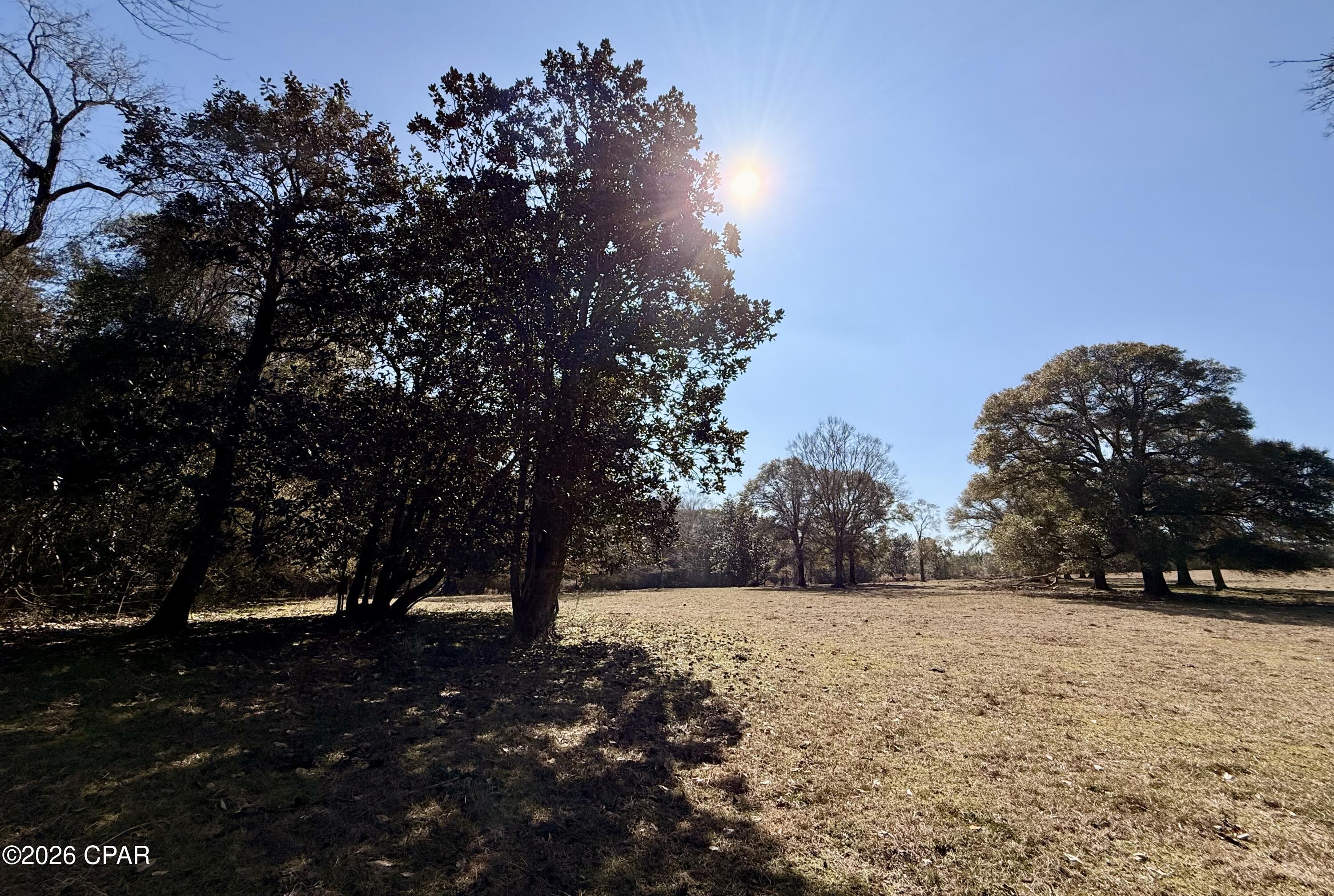 Listing photo id 21 for 0 Hwy 2a  