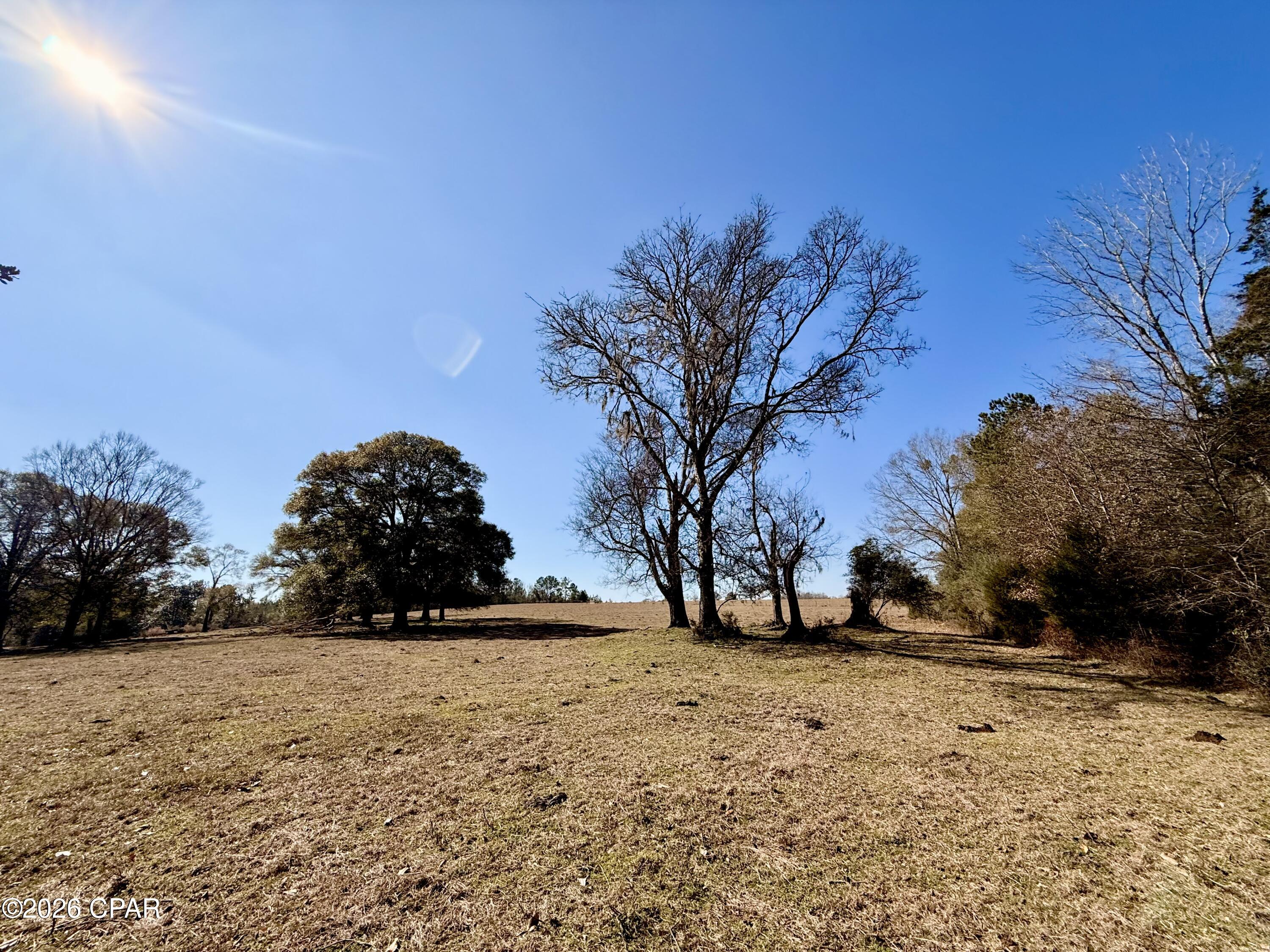 Listing photo id 22 for 0 Hwy 2a  