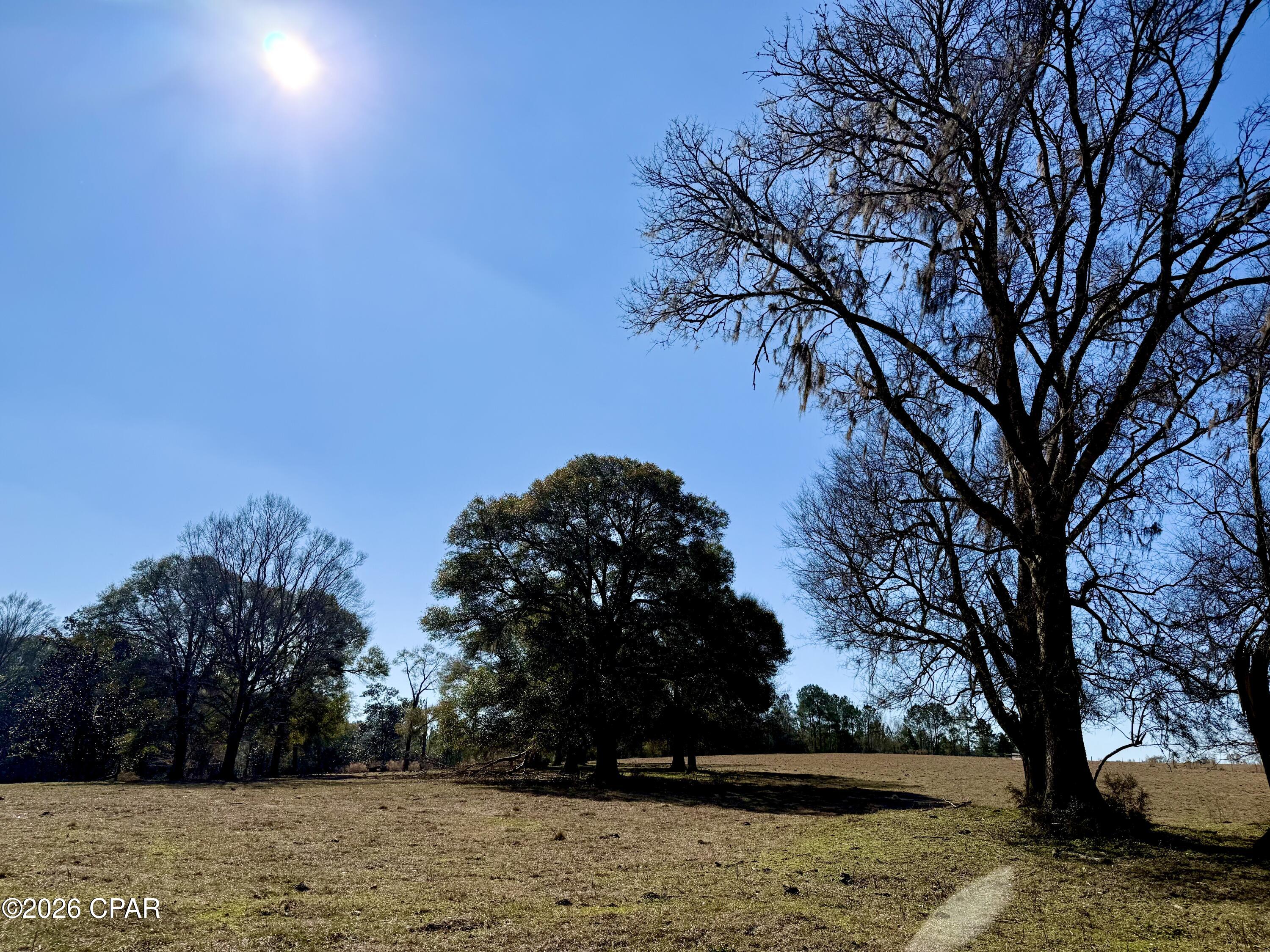 Listing photo id 23 for 0 Hwy 2a  