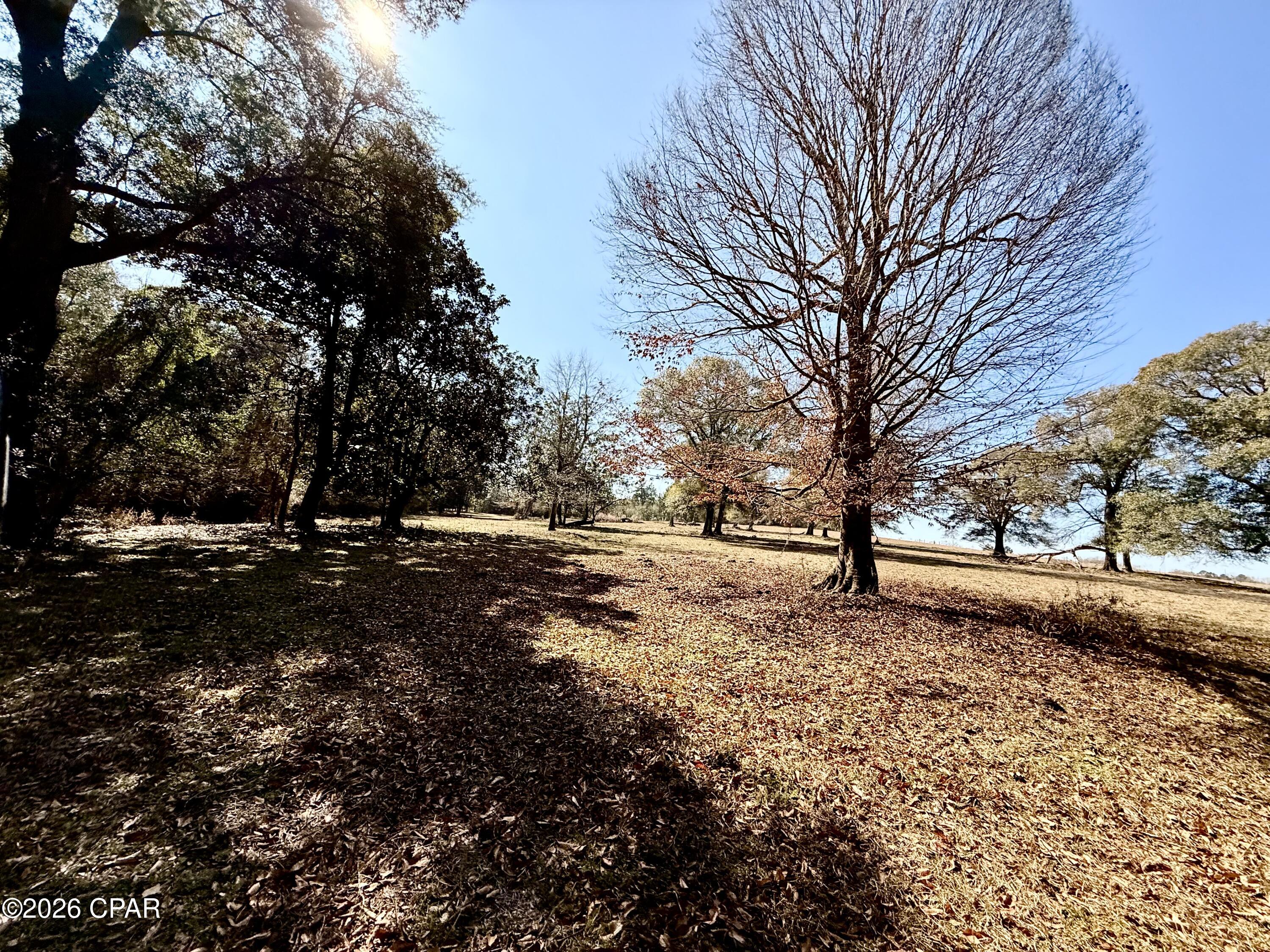 Listing photo id 25 for 0 Hwy 2a  