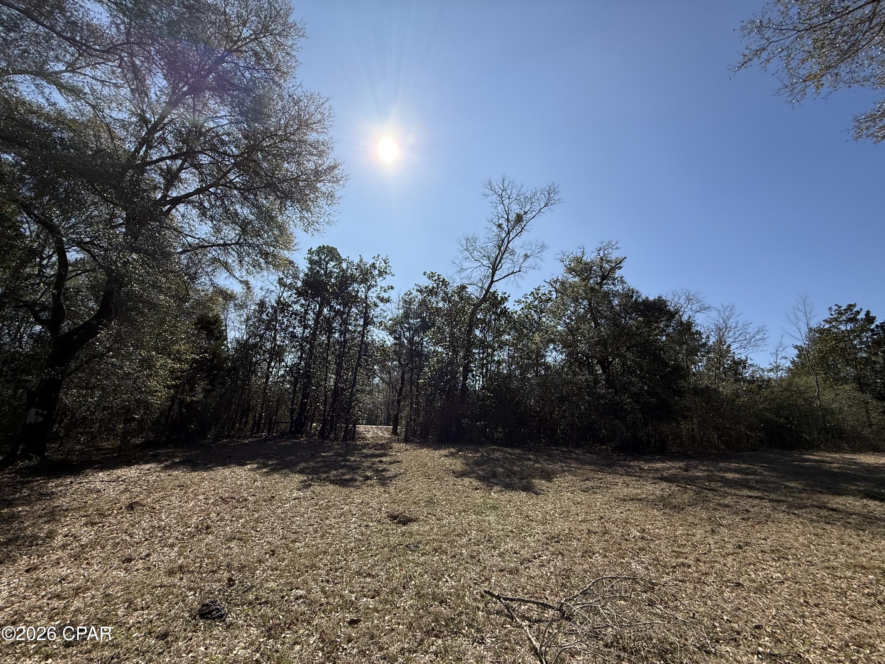 Listing photo id 30 for 0 Hwy 2a  