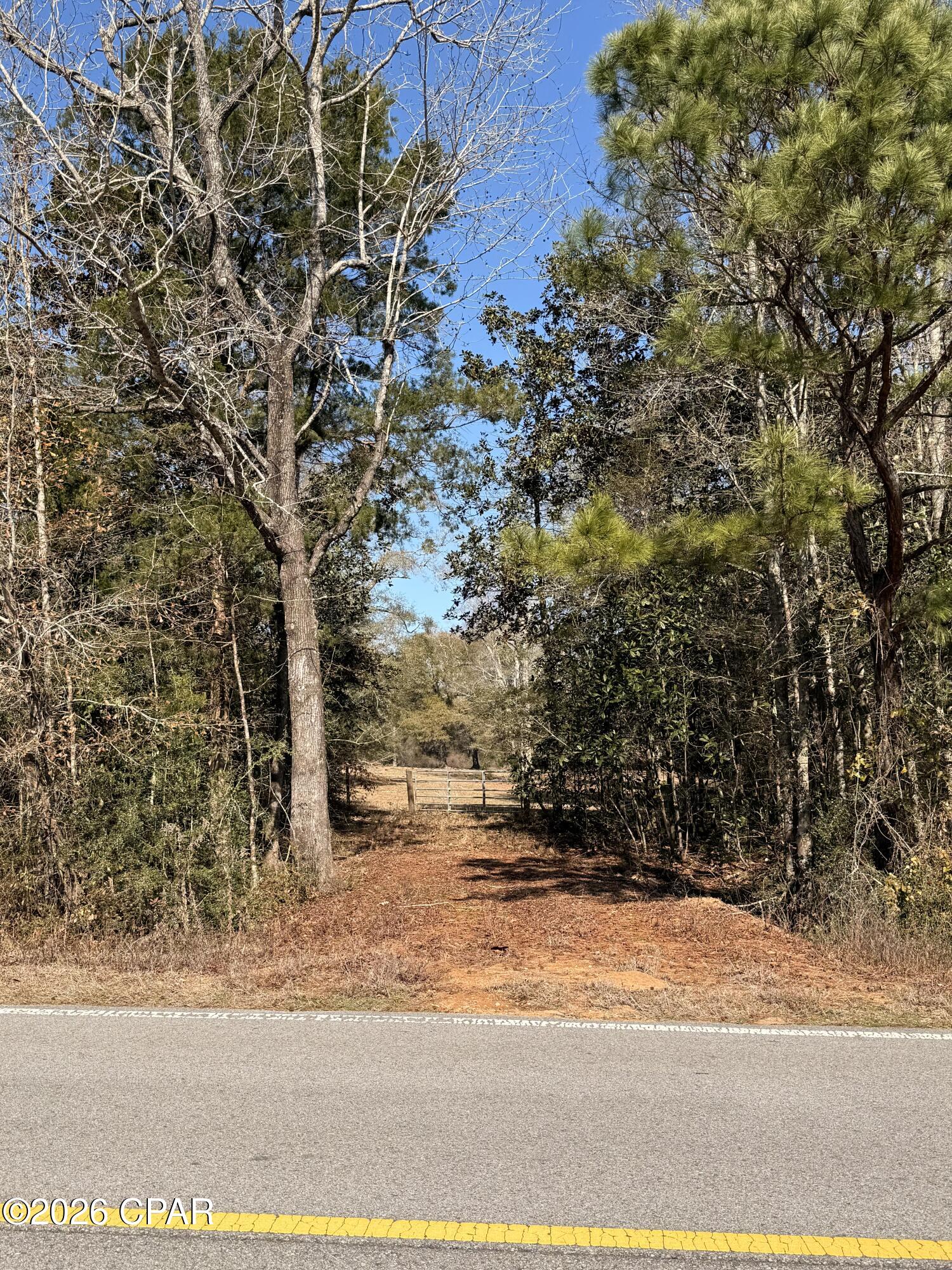 Listing photo id 5 for 0 Hwy 2a  