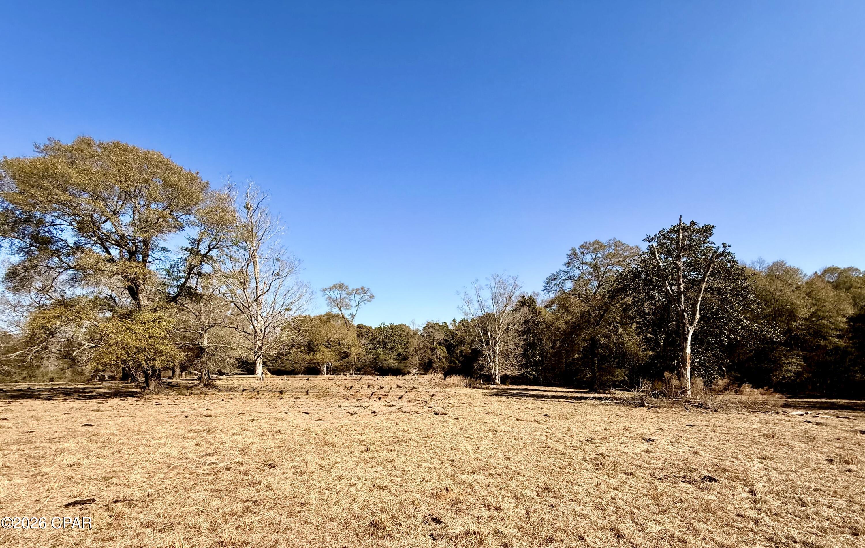 Listing photo id 6 for 0 Hwy 2a  