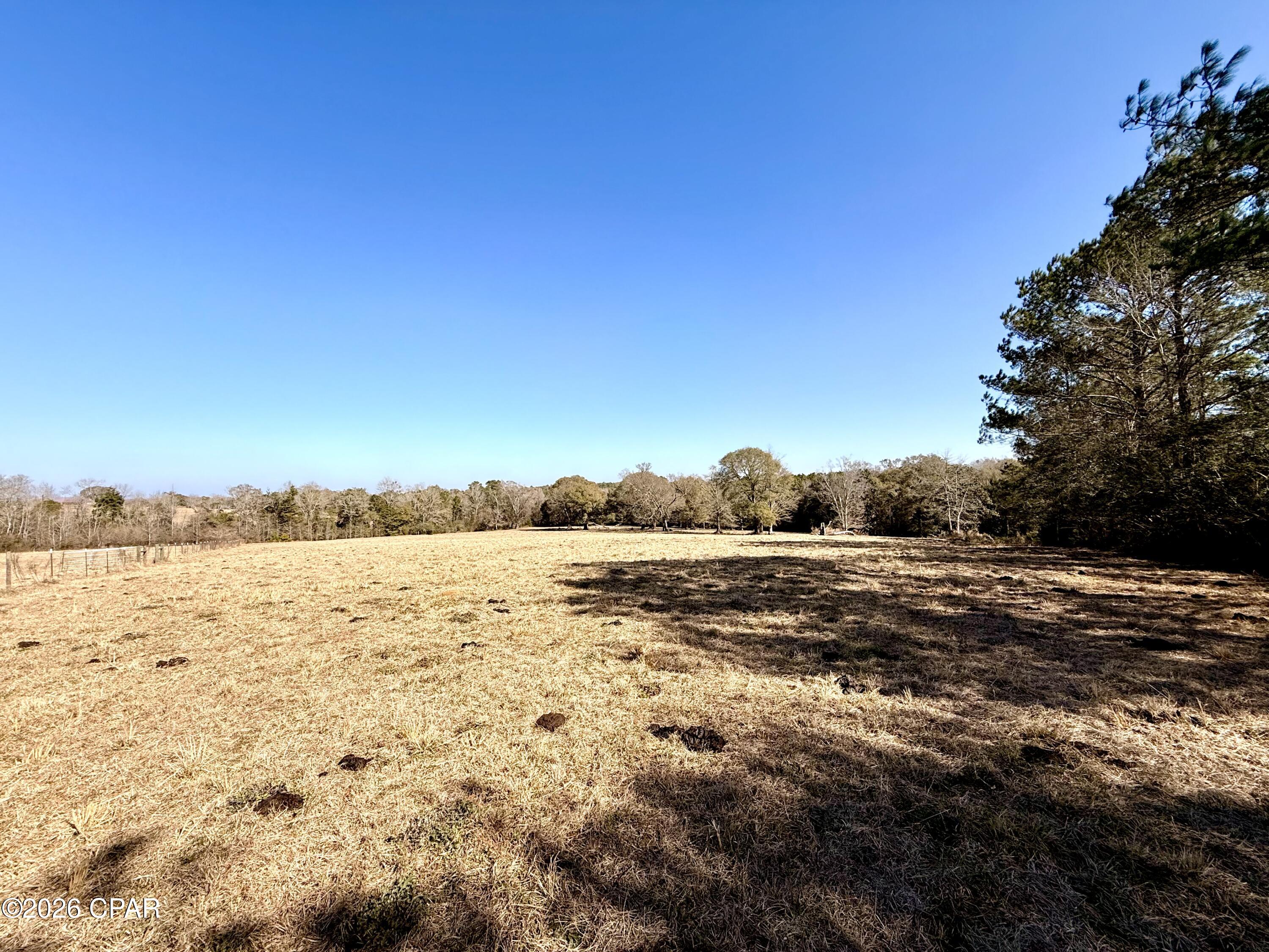 Listing photo id 7 for 0 Hwy 2a  